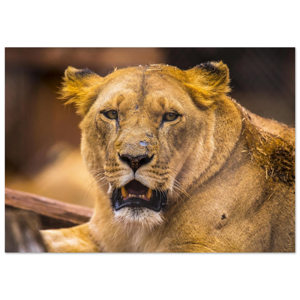 881fa1da-4973-4856-b500-c8c401bf51a9