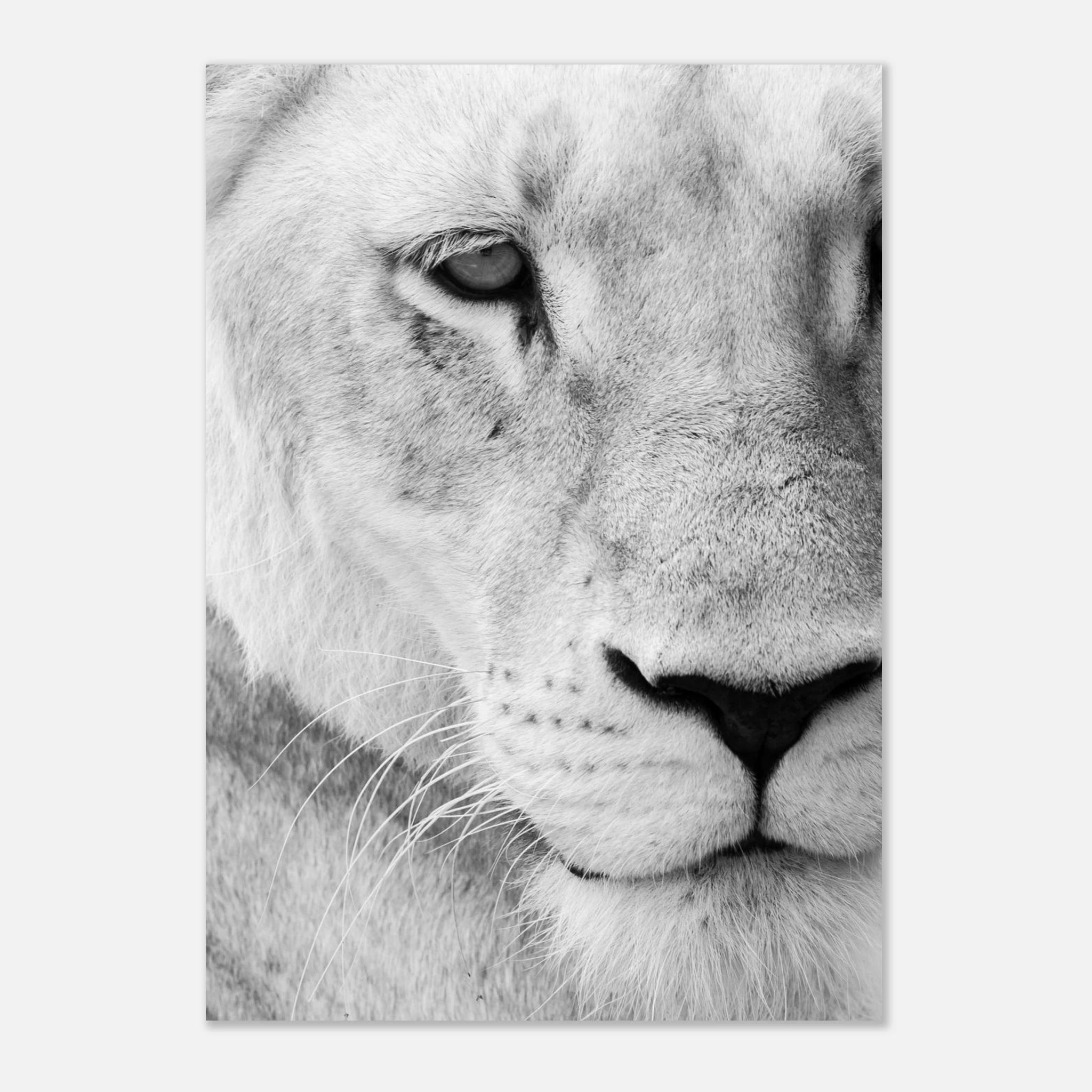 8a8bf79b-78f3-498d-9396-f3e54c2ed653