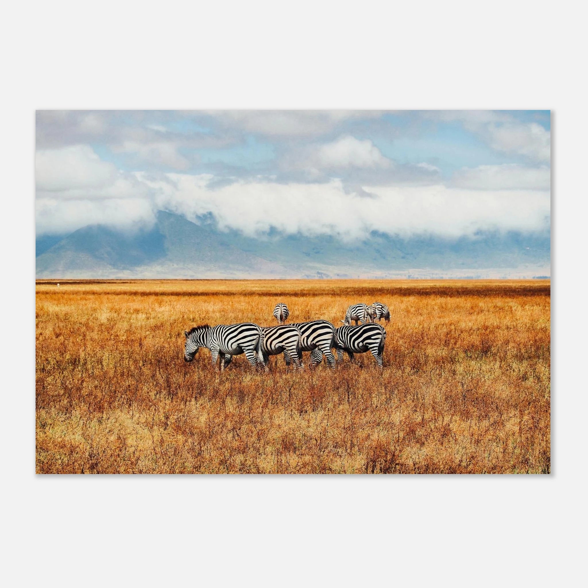 8f70770d-42a8-48b9-b979-afaf8da95867