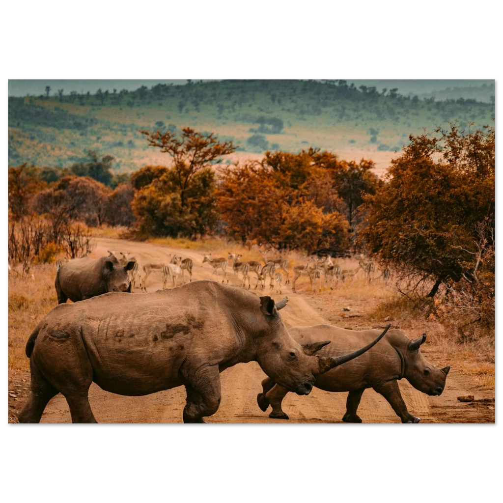 9126a0c2-7c47-4029-b967-5e2534da2dd7