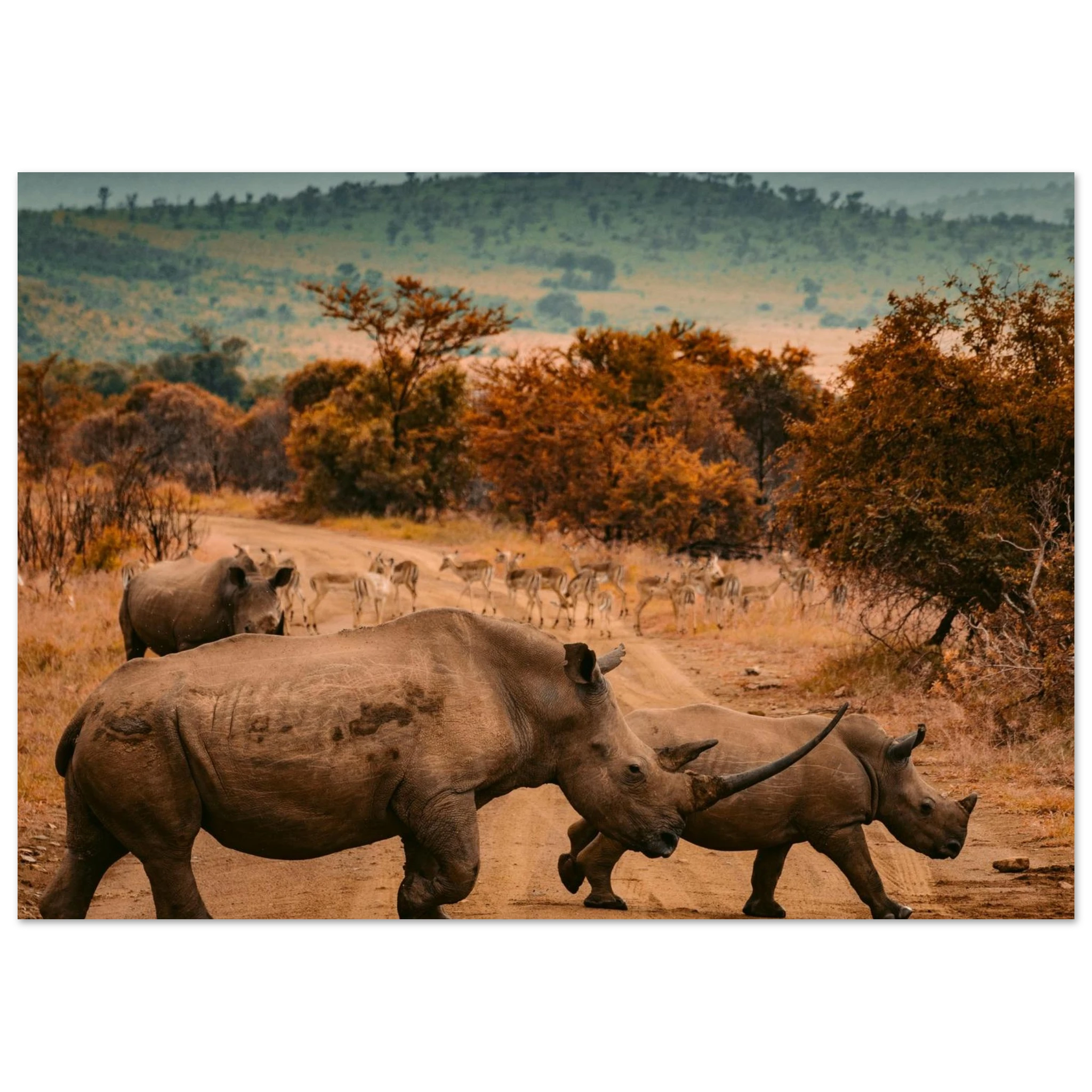 9126a0c2-7c47-4029-b967-5e2534da2dd7