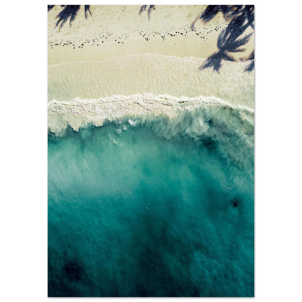 924c1517-adcd-44bc-b434-f6a61c4100d5