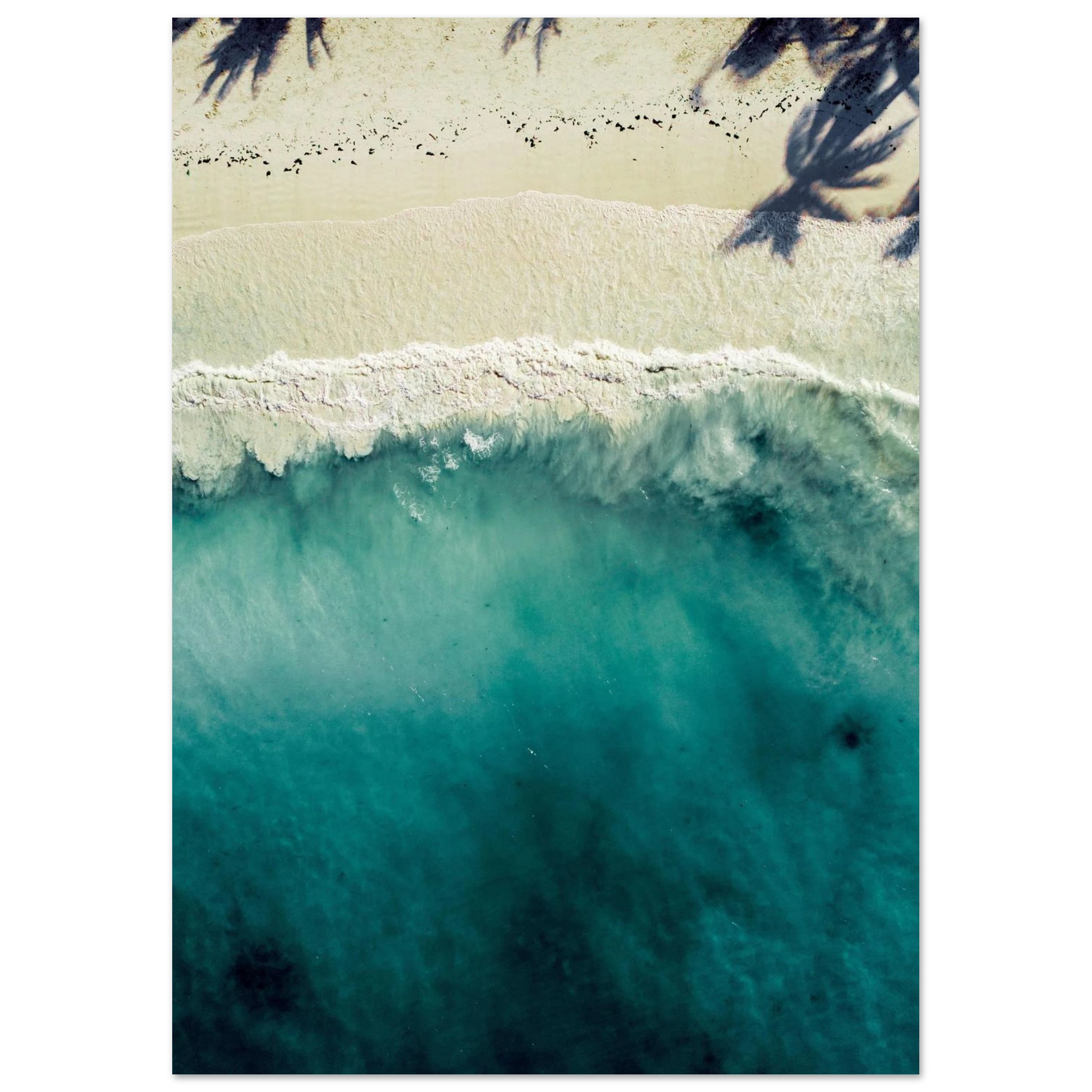 924c1517-adcd-44bc-b434-f6a61c4100d5