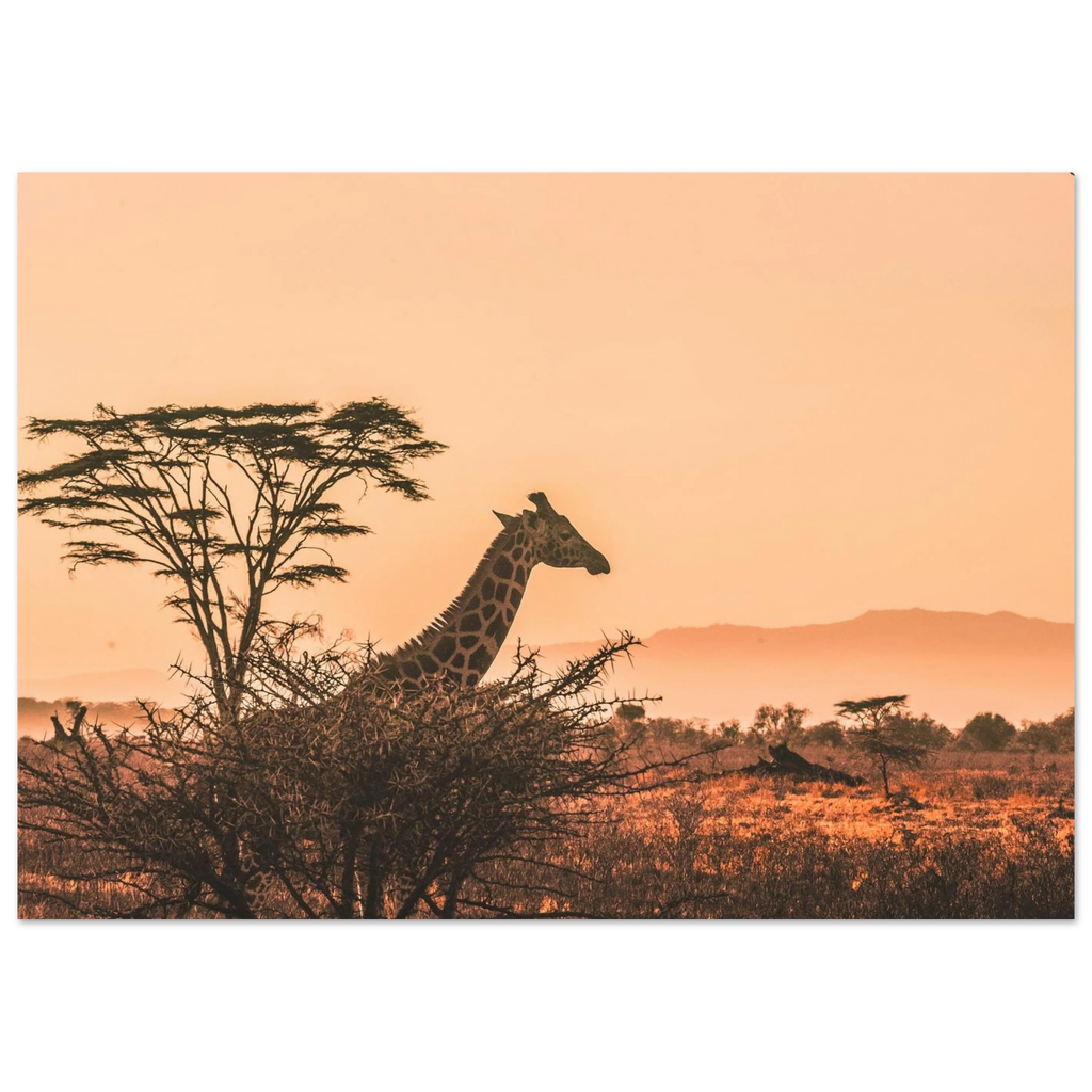 98d33f1c-3351-4238-a2e0-5ea3c7c218a8