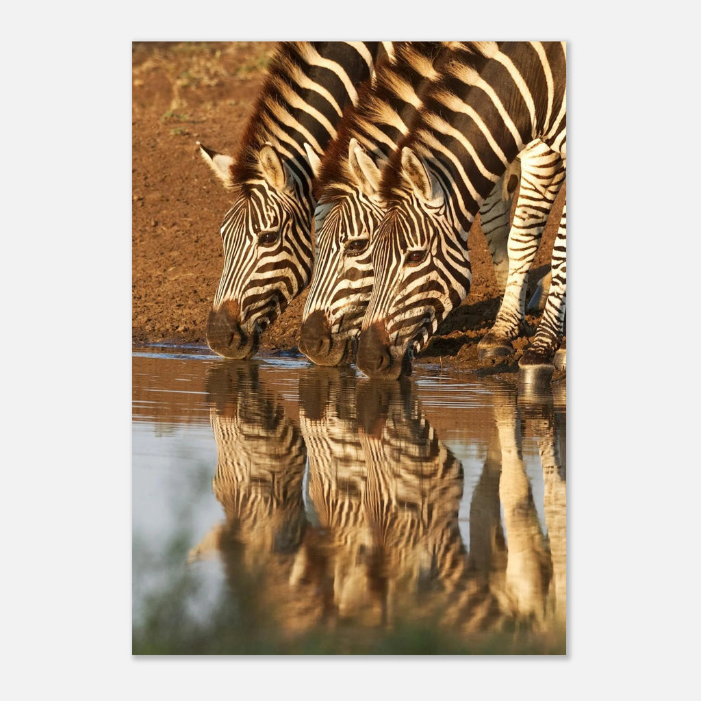 9a3dd5d6-27c0-43b6-9faa-810722031bec