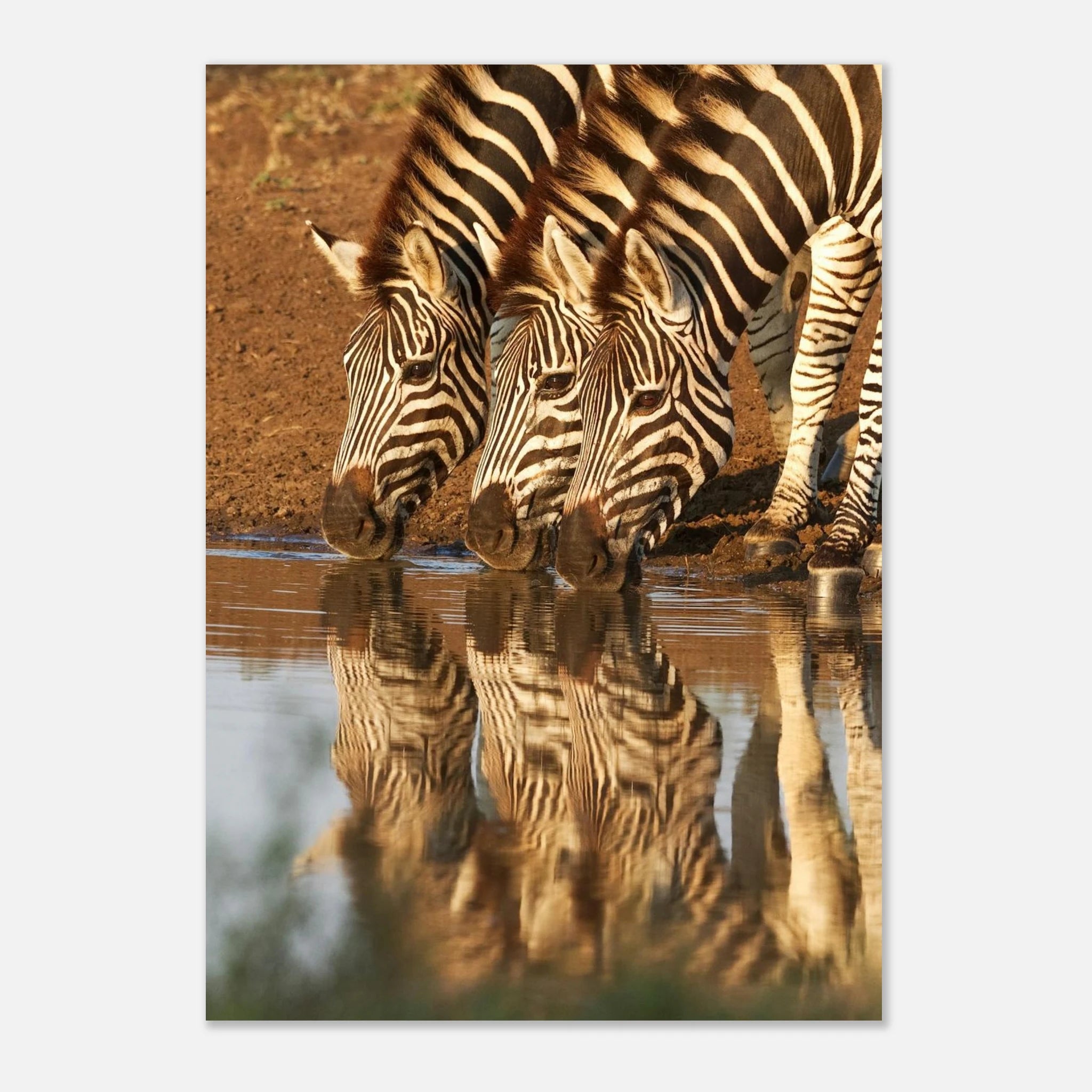 9a3dd5d6-27c0-43b6-9faa-810722031bec