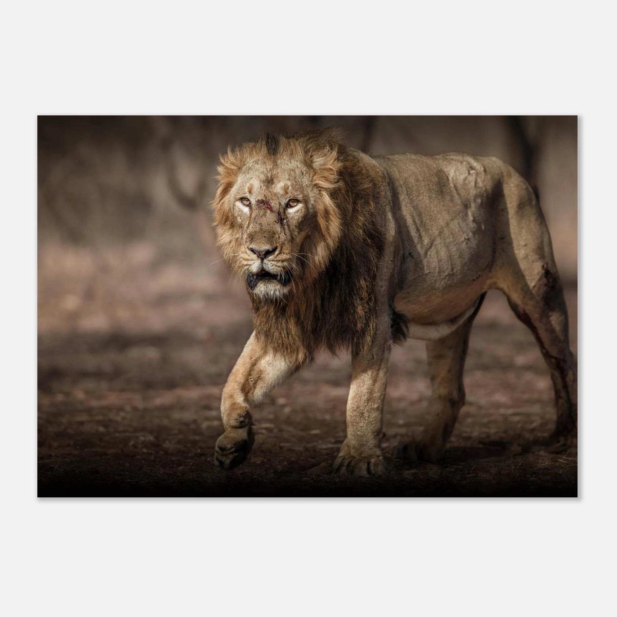 9a6e90d5-24c5-4bc1-9e2d-f3c40525f0ed