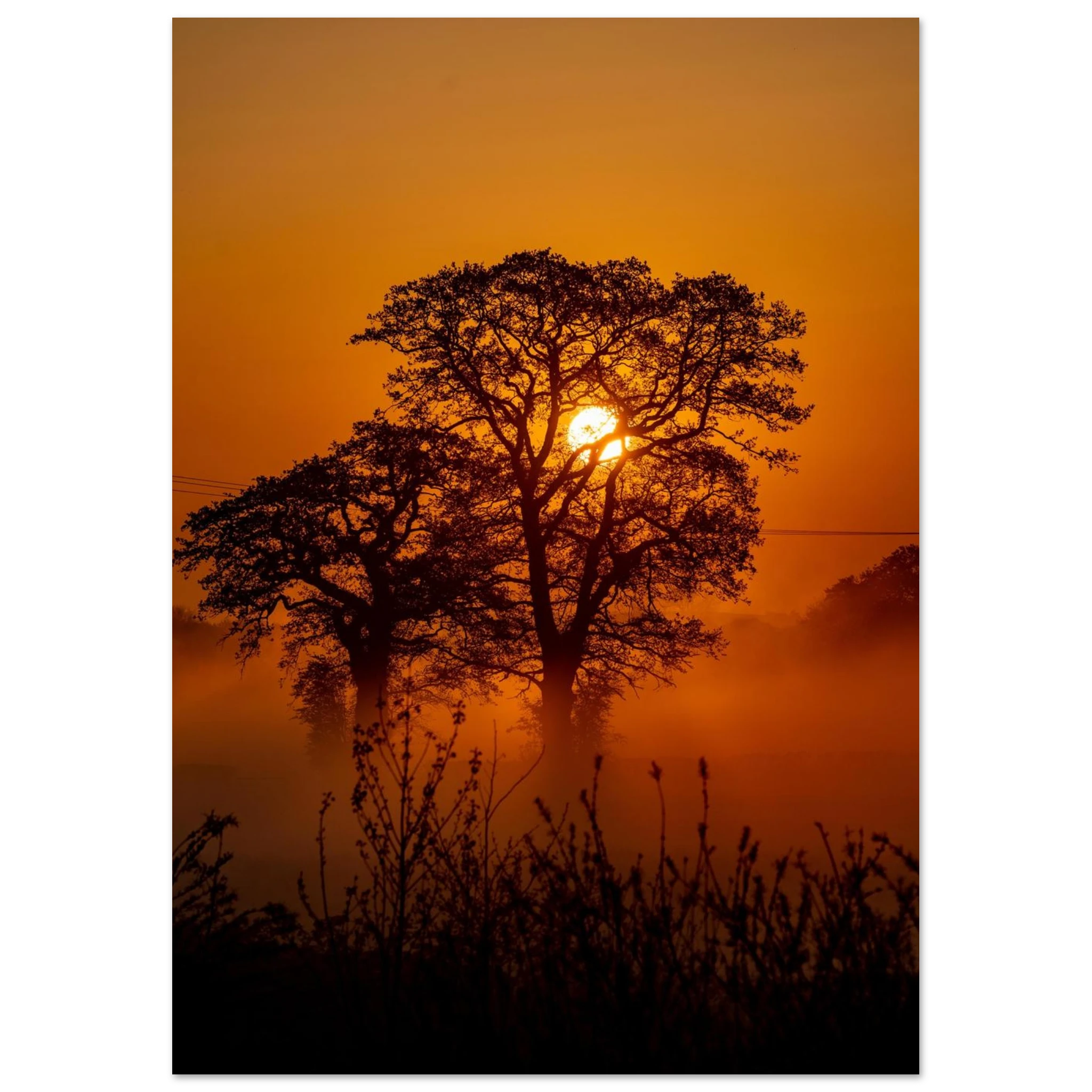 9a72f2cd-d520-491a-906d-176454e69d8f