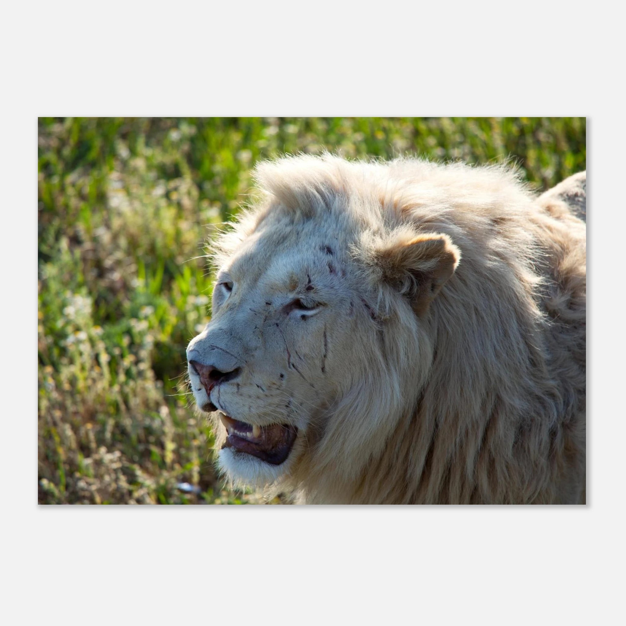 9c9e3afb-fb02-487d-a8ff-b7e8f693b392