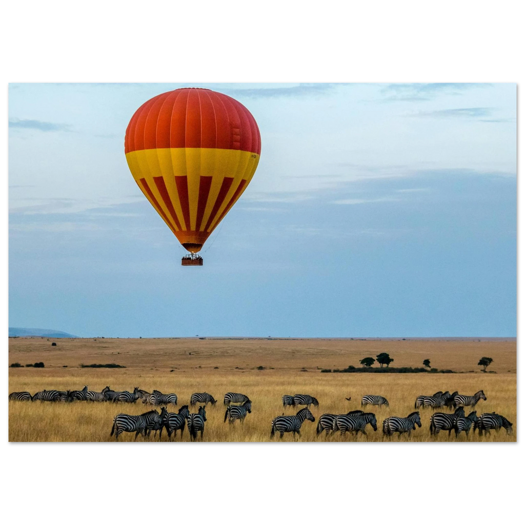 a0338471-8347-4d38-8111-a2d555c1e887