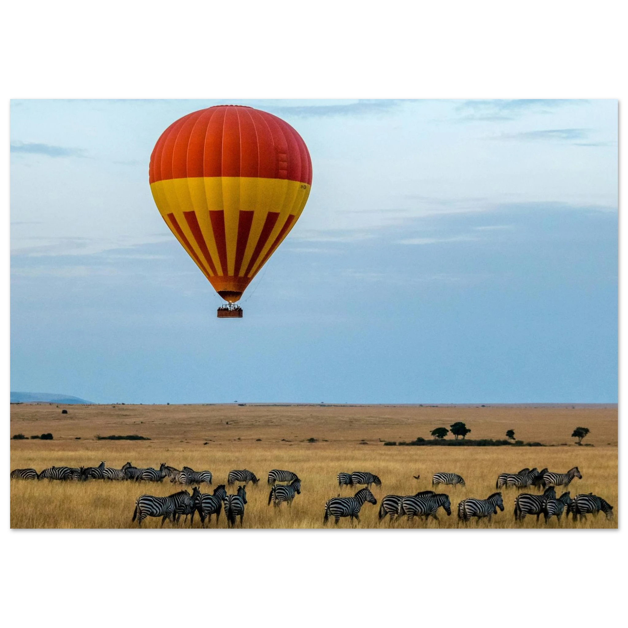 a0338471-8347-4d38-8111-a2d555c1e887