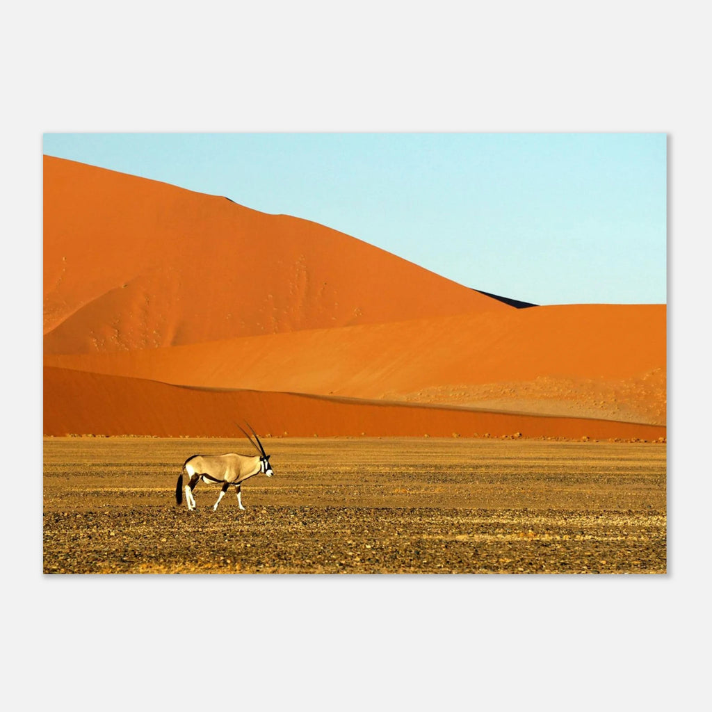 a93c1e48-8013-4c72-9ab8-70f929c762c9