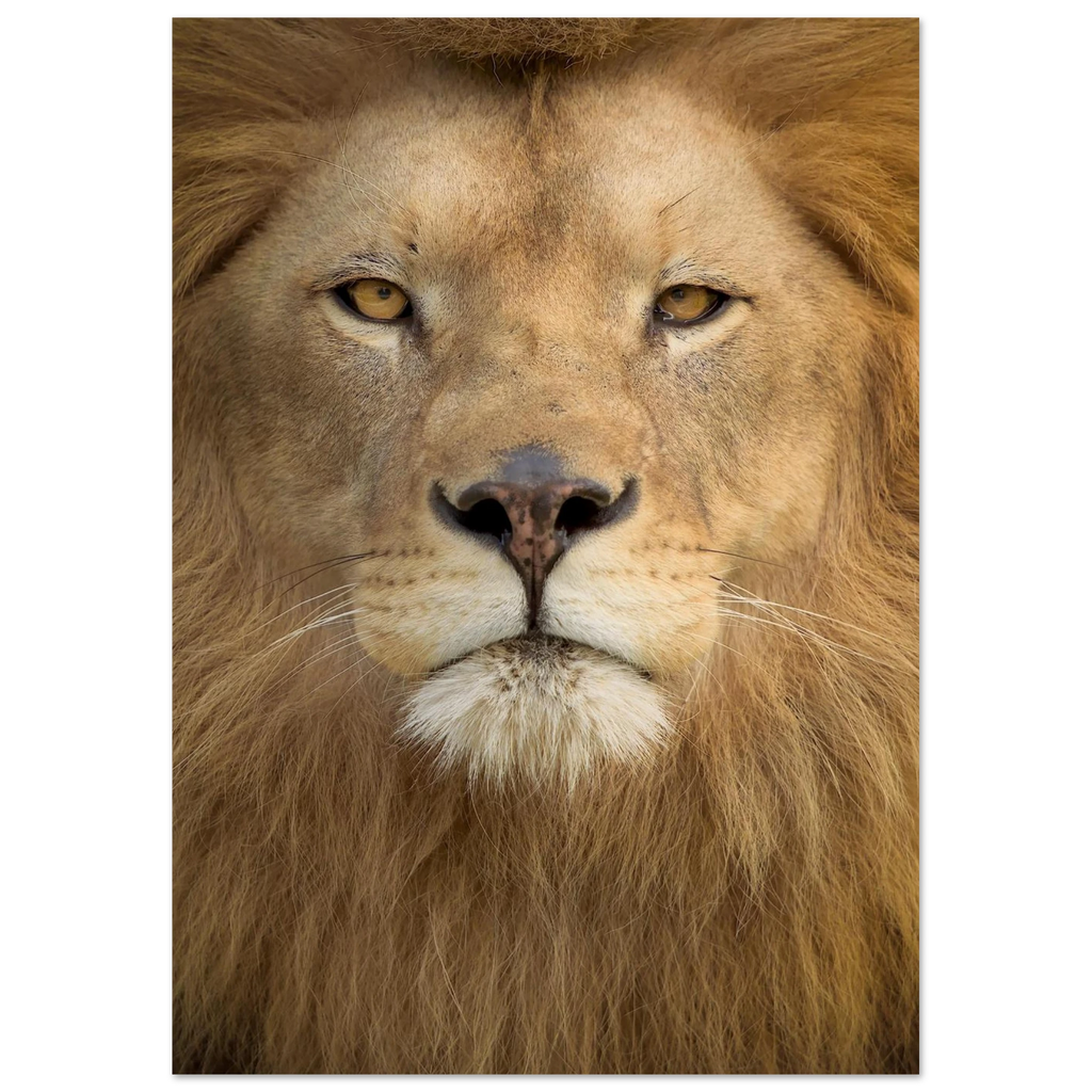 aaa1bba9-418c-491d-a203-d2247dbfba9d