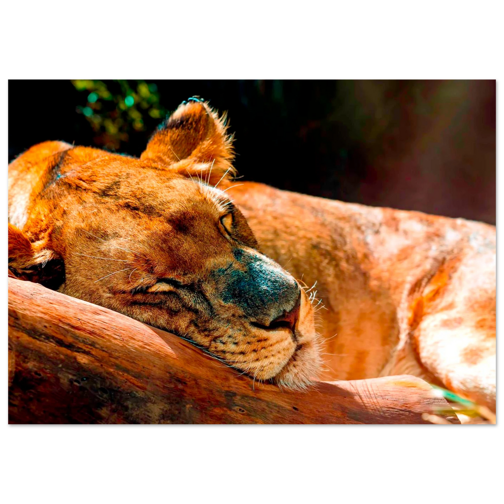 aeb035a3-562d-4d45-a3ba-033d5354a3fe