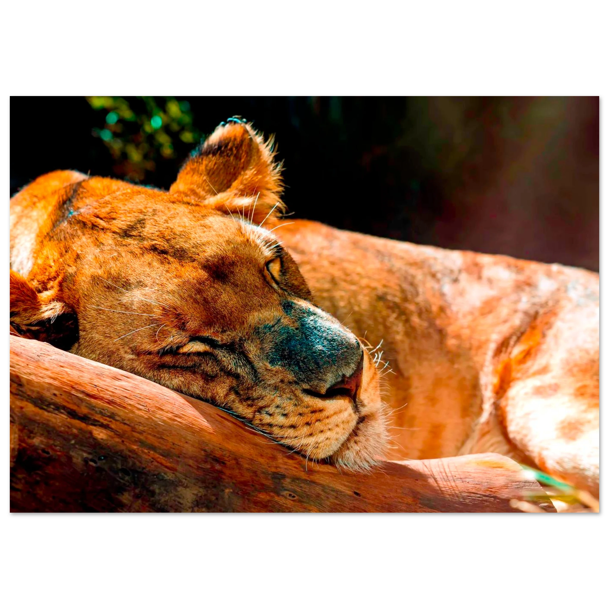 aeb035a3-562d-4d45-a3ba-033d5354a3fe