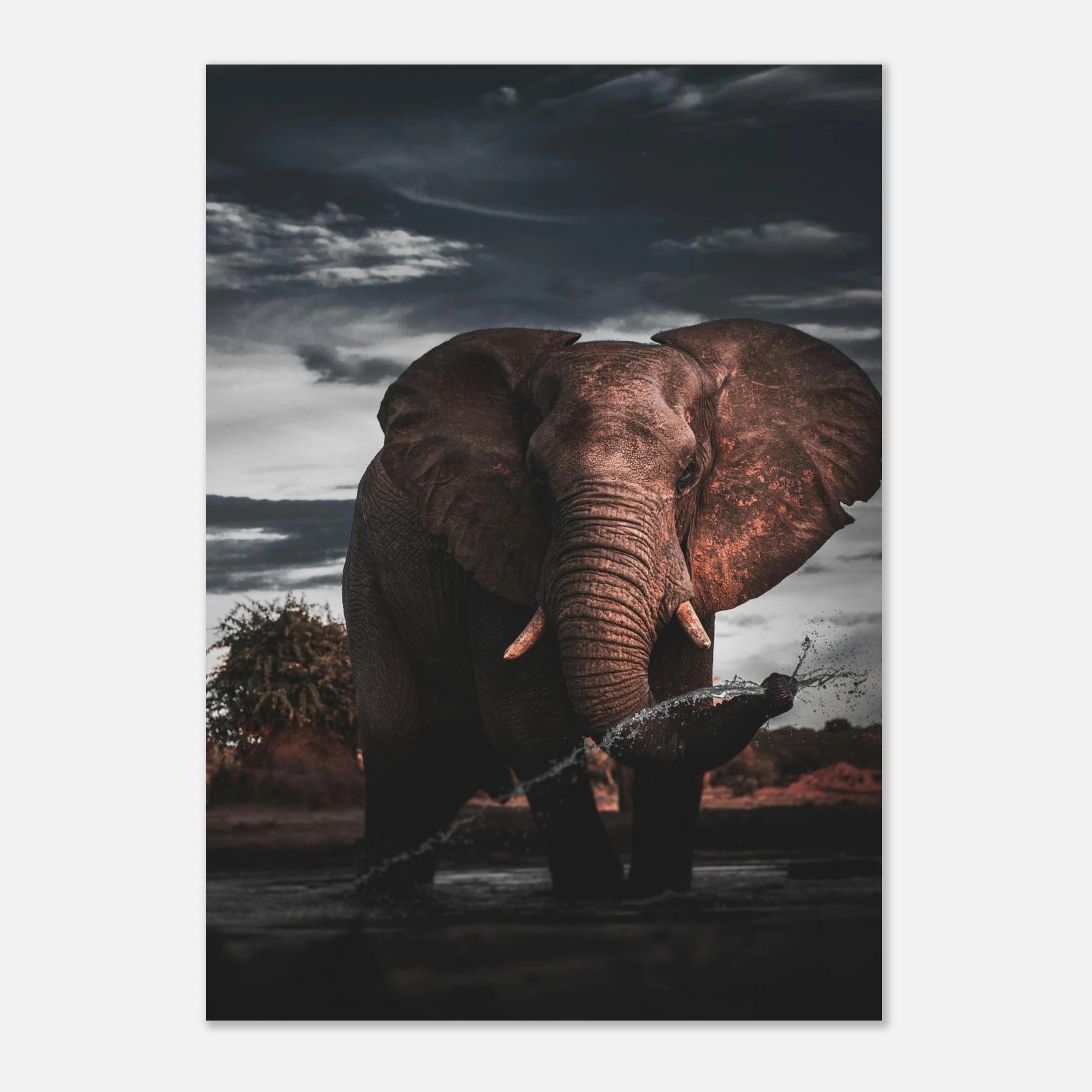 b0fa07a5-c8a2-4ded-80cd-991d6bd22ac0