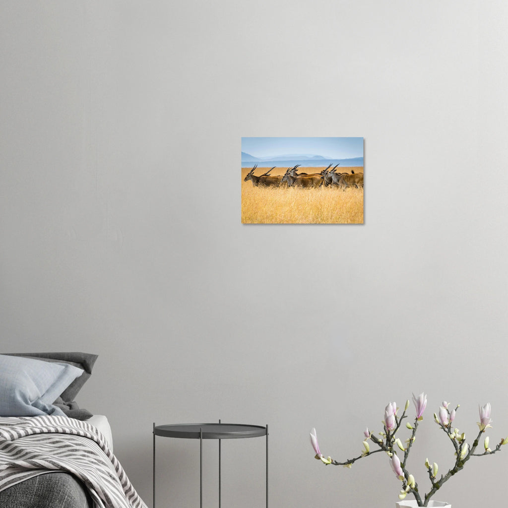 b26eb099-71a3-494c-8ba5-994904930aa2