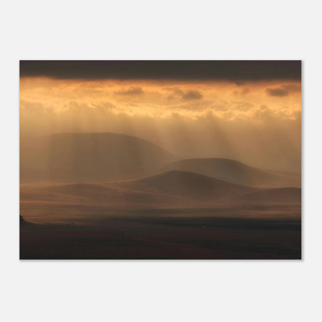 b2dda151-20d0-4e8e-b53a-355add5a7232