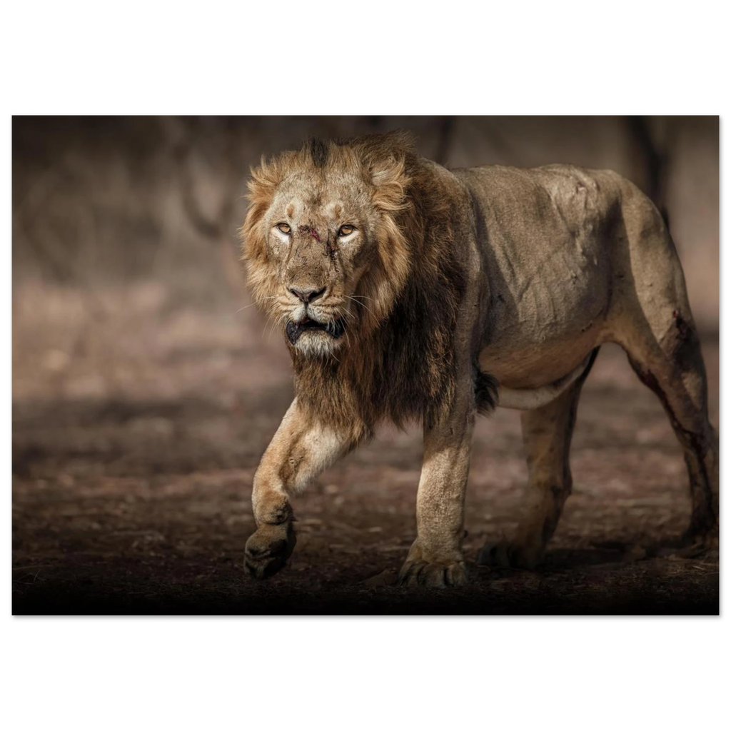 b40f3811-7960-4b4b-a7ef-39ea5c48c79b