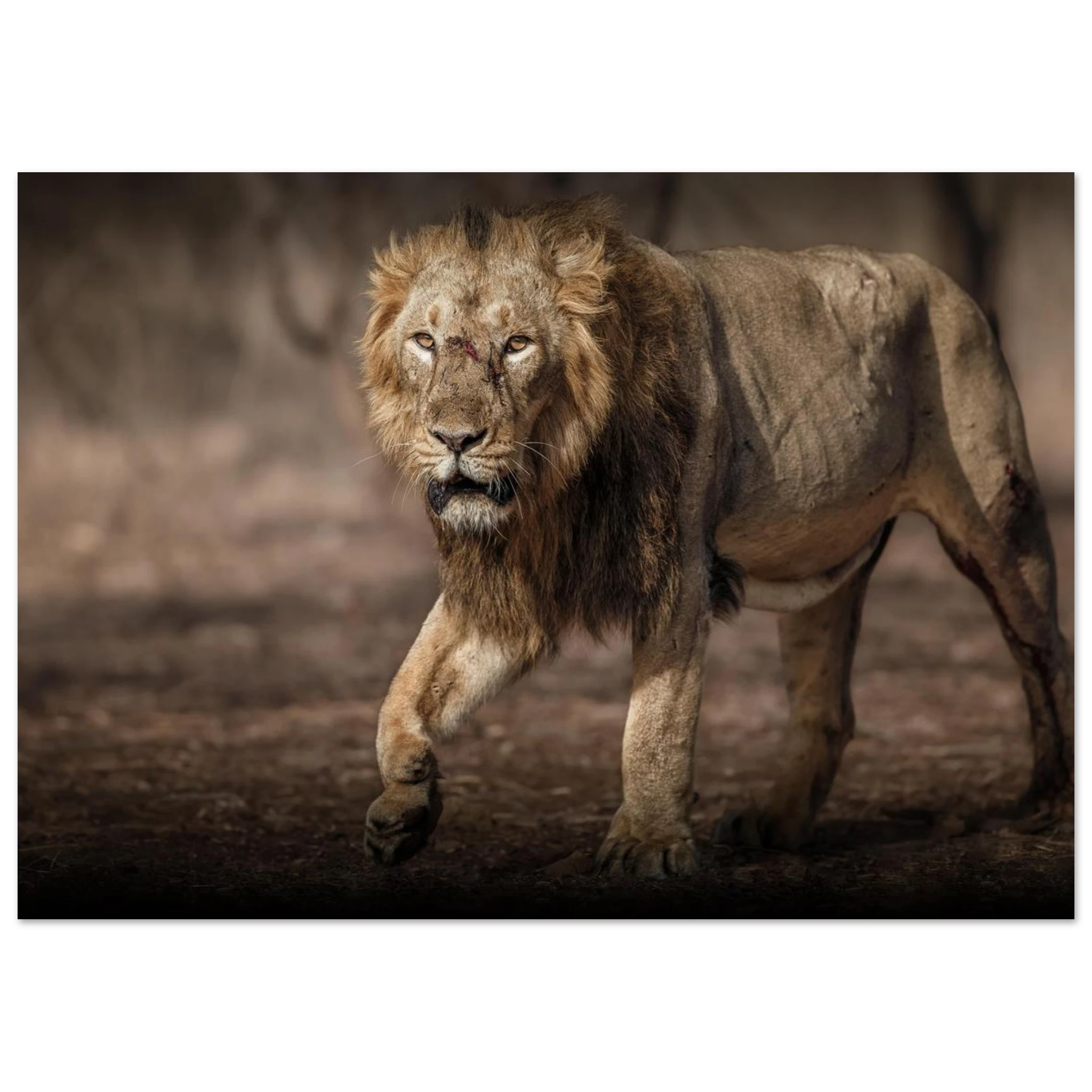 b40f3811-7960-4b4b-a7ef-39ea5c48c79b