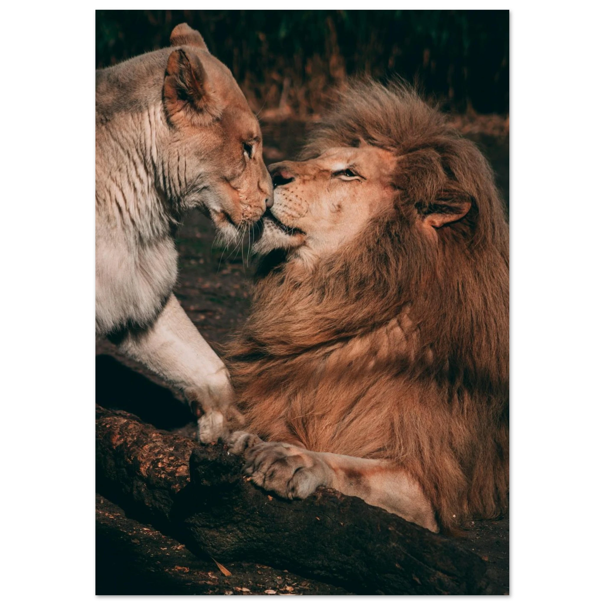 bafd10e6-0675-4466-8383-58f4d4ba996c