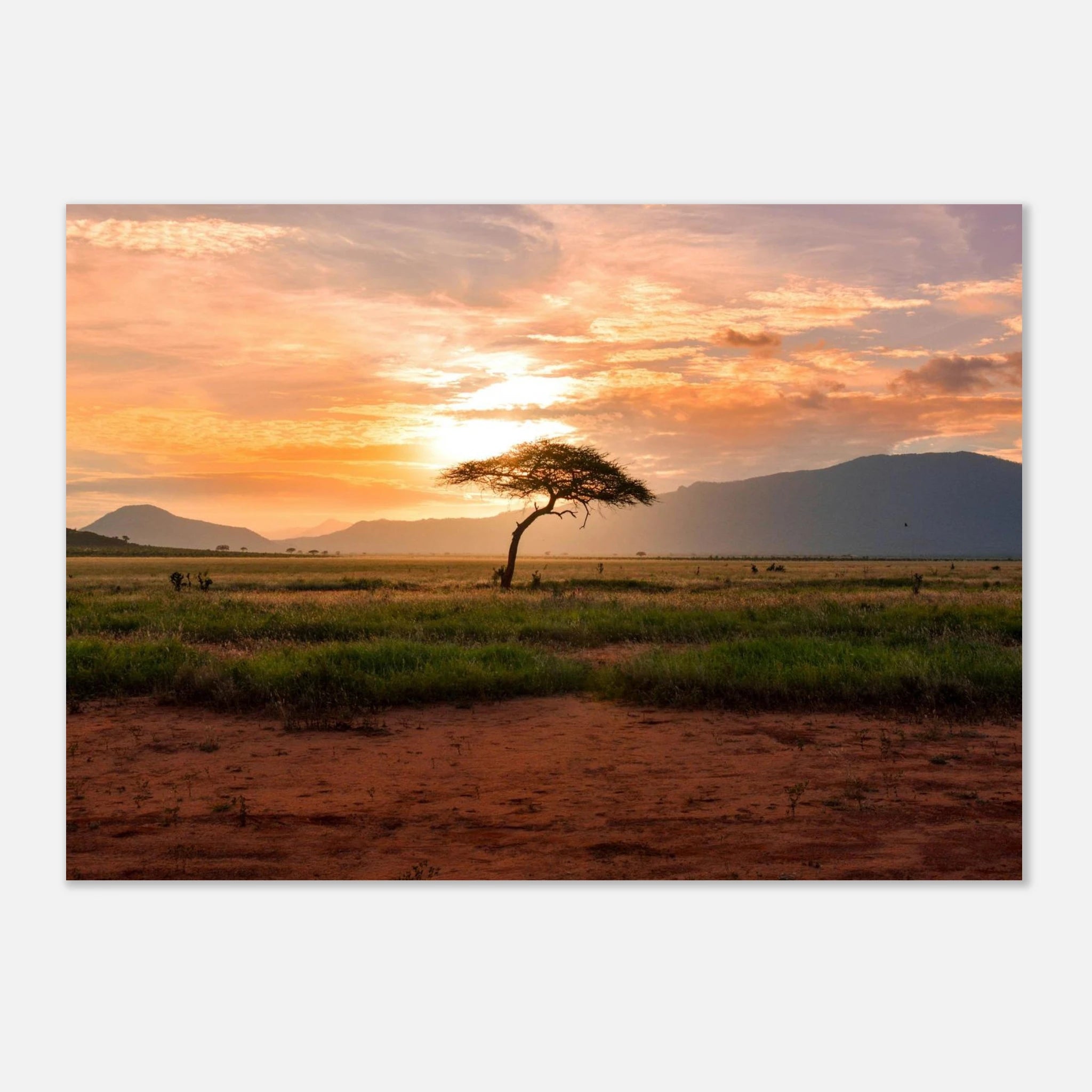 bca5b81e-3266-4b9d-8c94-e73243f6cc32