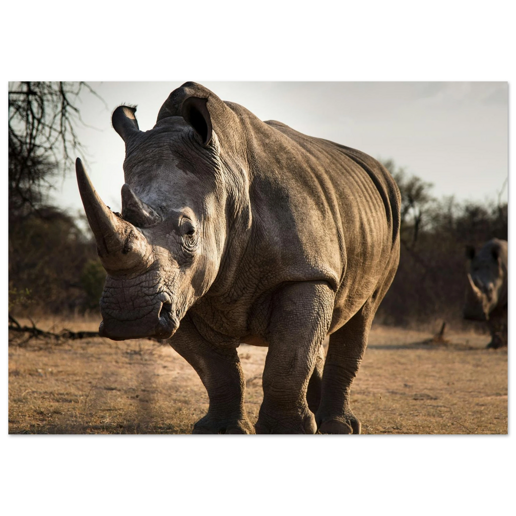 bea1dfbf-4035-4f74-9581-ef34b9c2d7d3