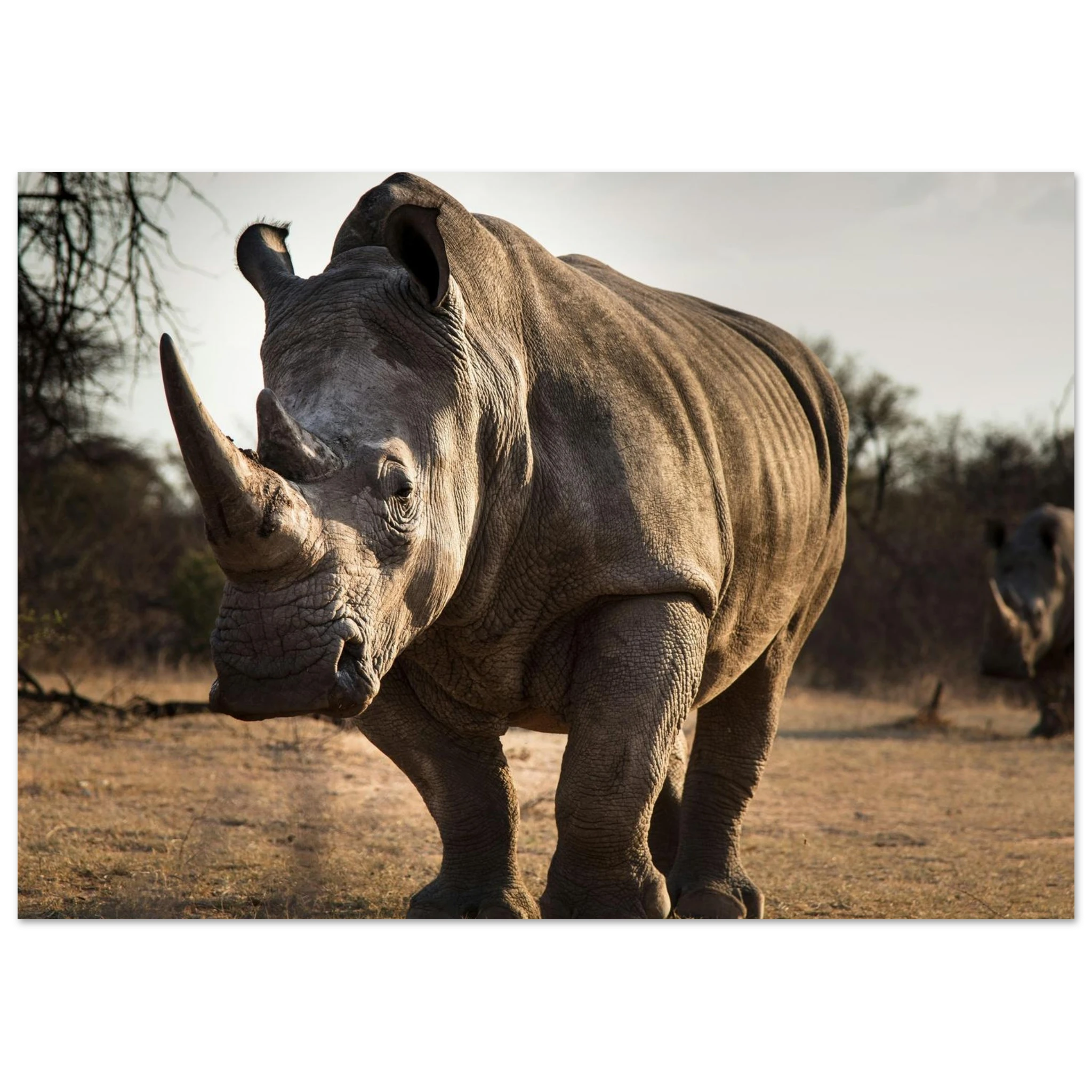 bea1dfbf-4035-4f74-9581-ef34b9c2d7d3