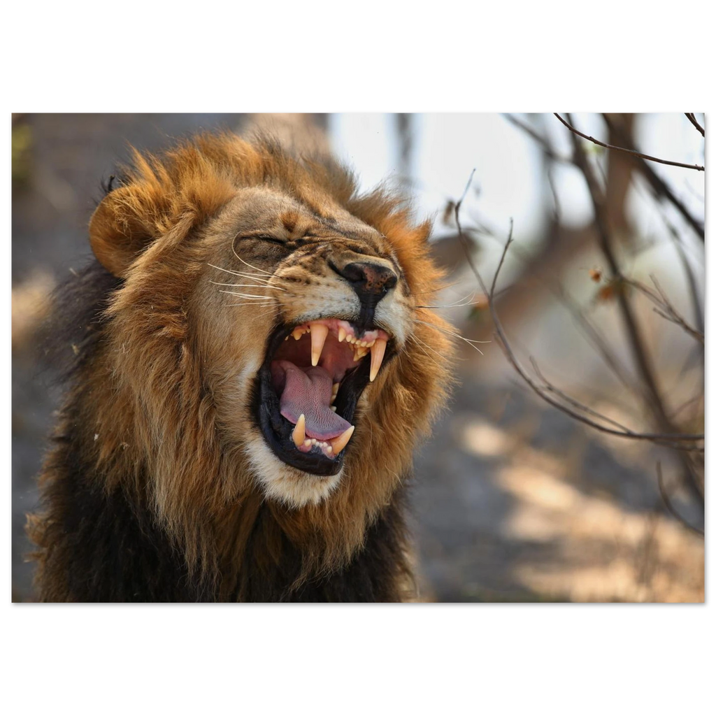 c1a901be-d8af-435e-8011-078e89320cbc