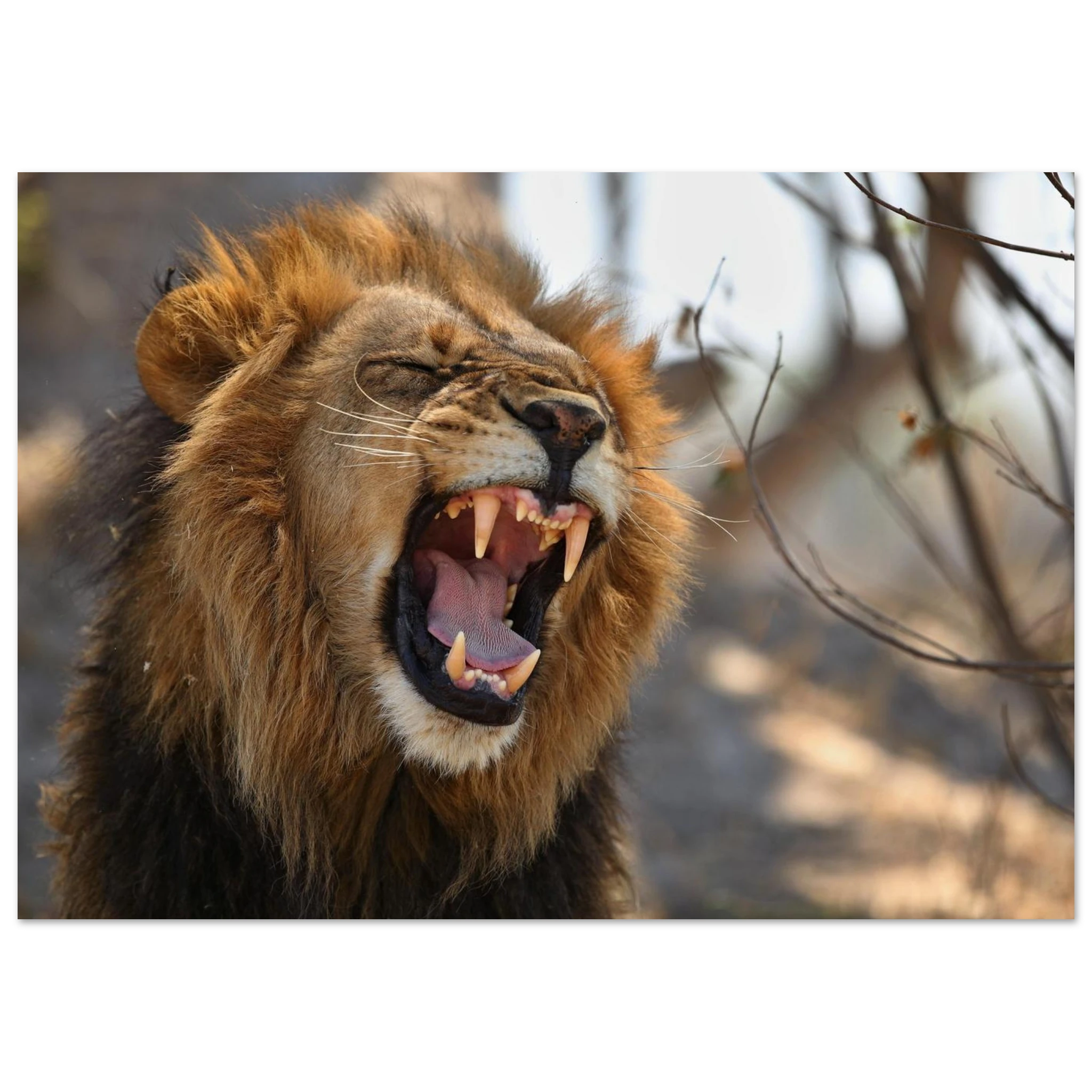 c1a901be-d8af-435e-8011-078e89320cbc