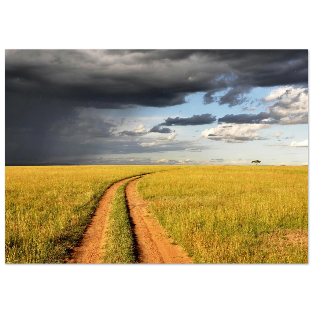 cd3a6477-a926-4d28-bd0b-3c7be2da07d9