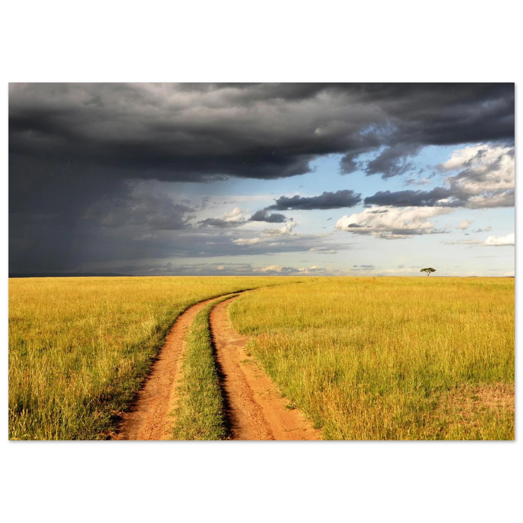 cd3a6477-a926-4d28-bd0b-3c7be2da07d9