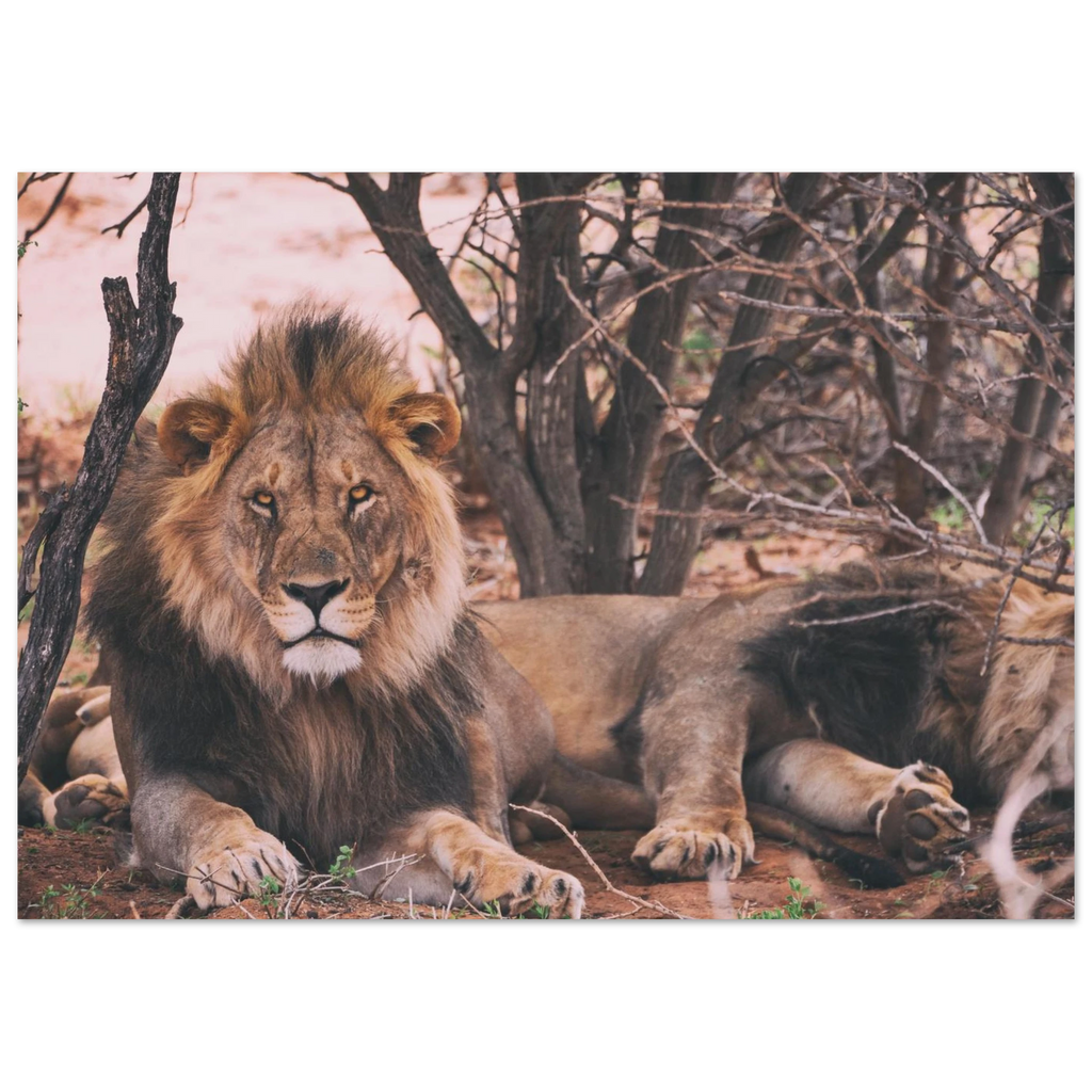 d0a63f77-65c9-4dee-9857-af8f83af049b