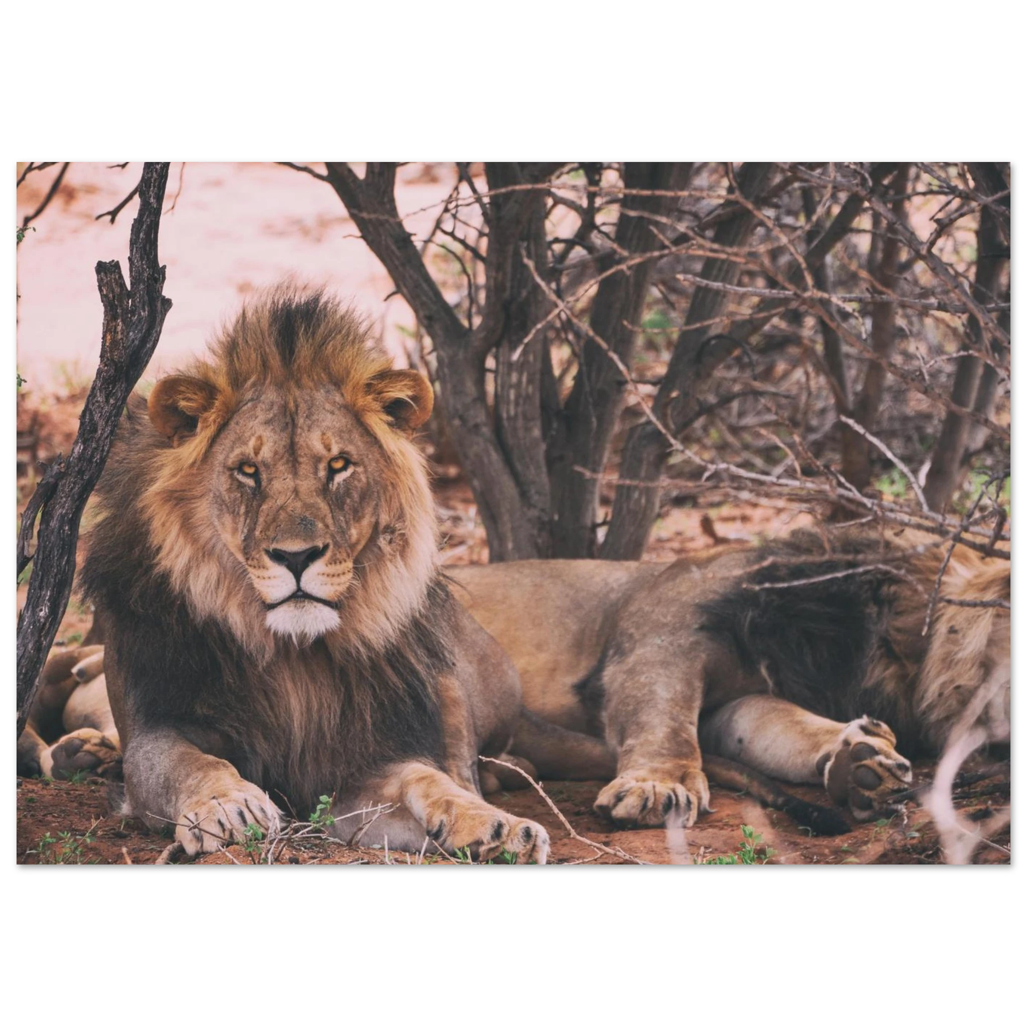 d0a63f77-65c9-4dee-9857-af8f83af049b