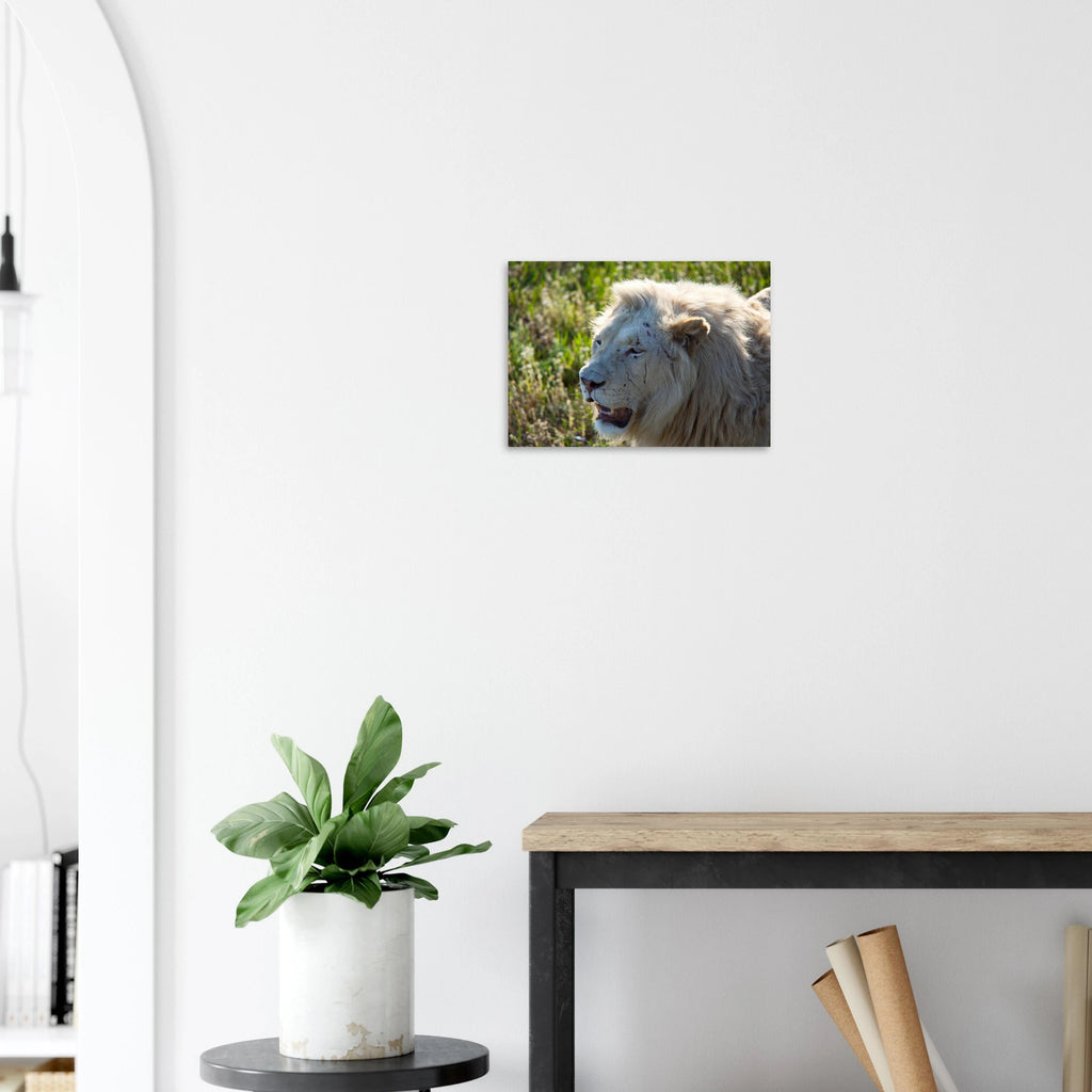 d5229fcc-8117-48b6-8ee9-984dbdcc7b9d