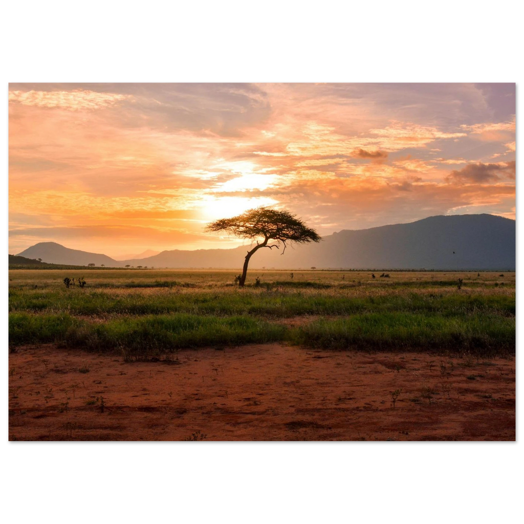 d56ffff2-a20c-4ae8-bcb7-1108067070da