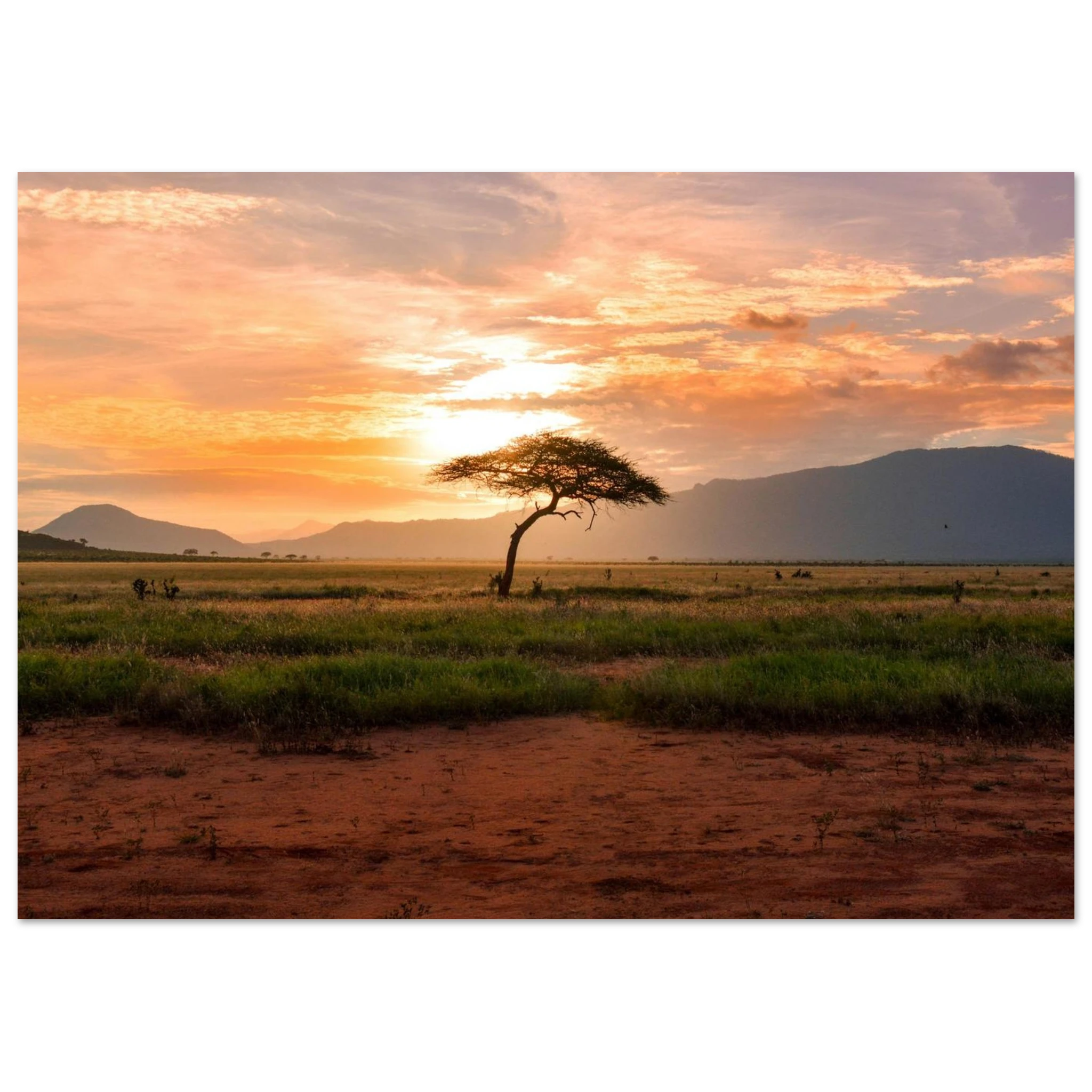 d56ffff2-a20c-4ae8-bcb7-1108067070da