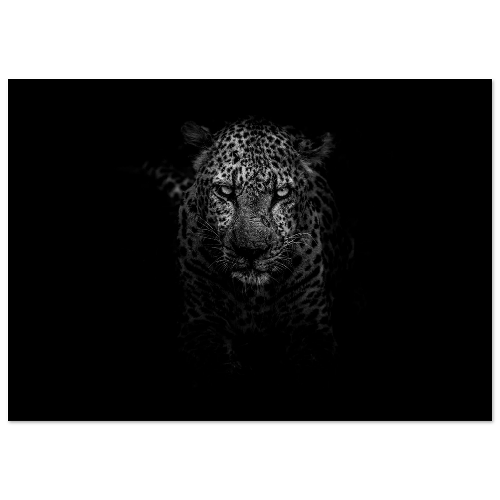 d68c6982-3f80-4c5d-9b11-286f6cbb9088