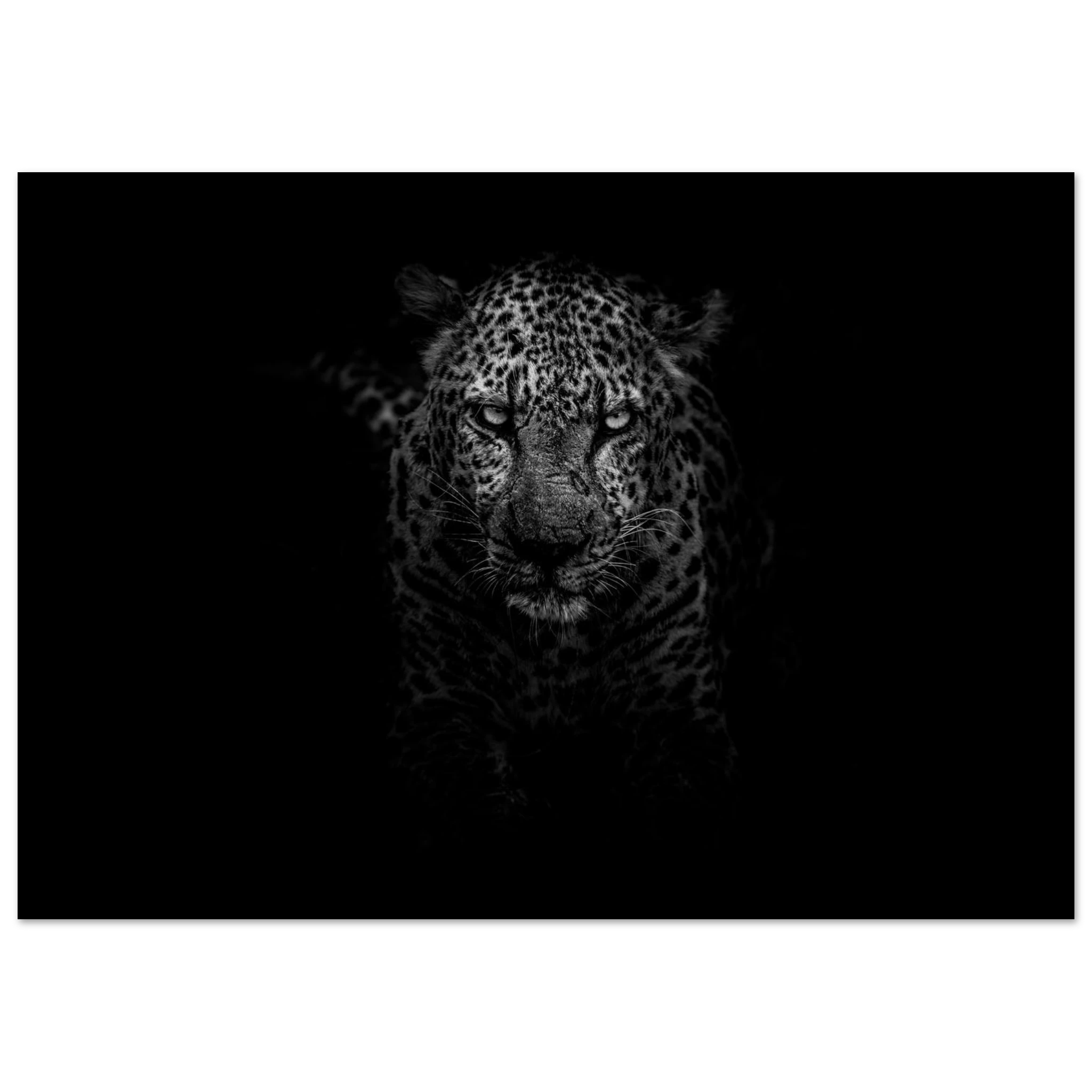 d68c6982-3f80-4c5d-9b11-286f6cbb9088