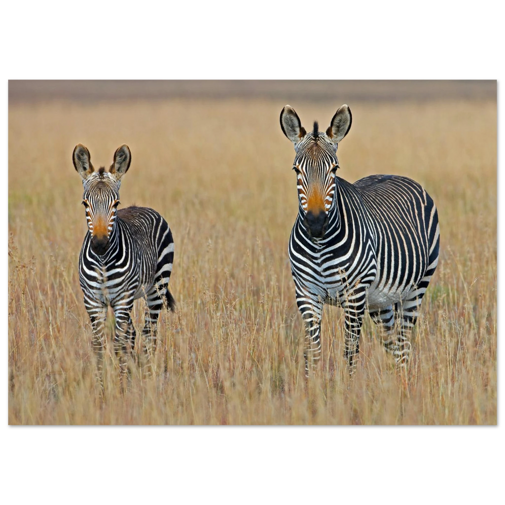 dc6c720d-49fd-4bd7-804e-30a4054fbf3c