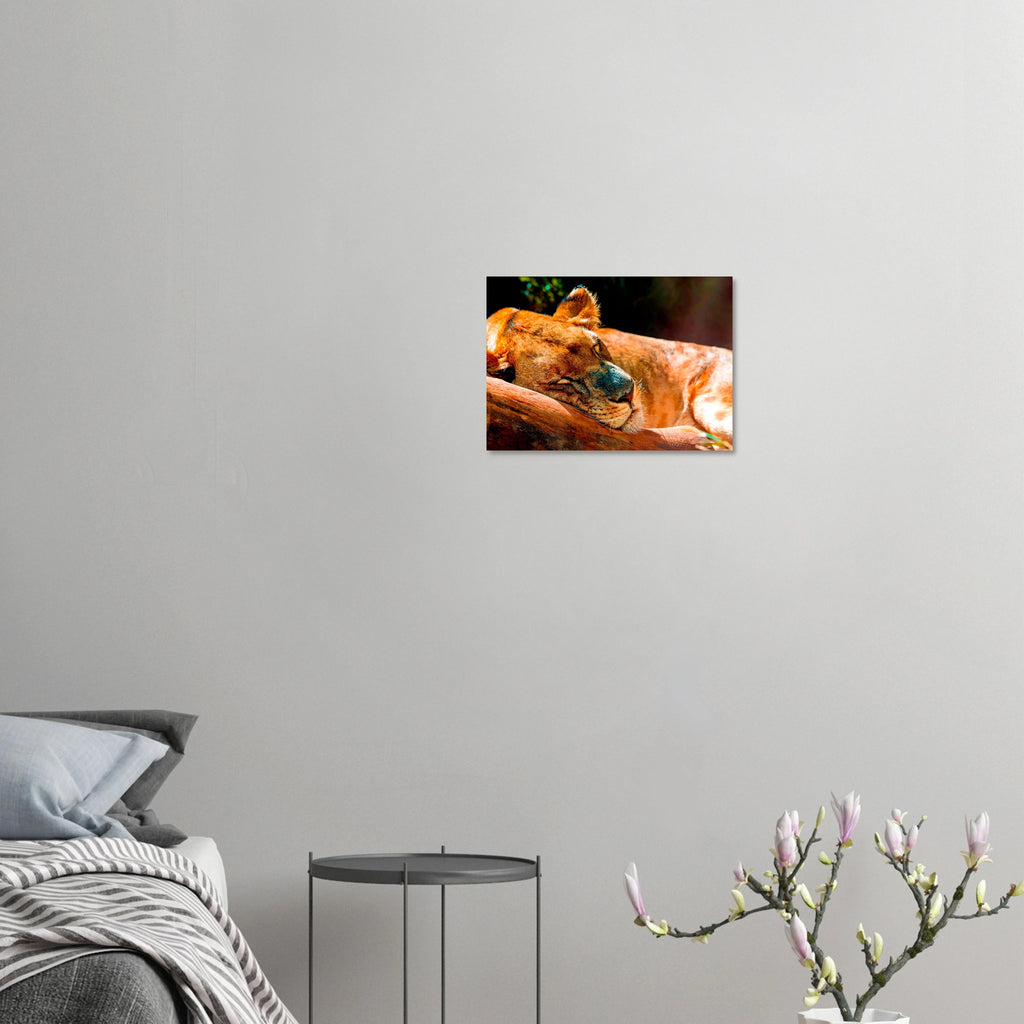 e0da3696-5d6a-4789-a2b4-7b120a27ac81