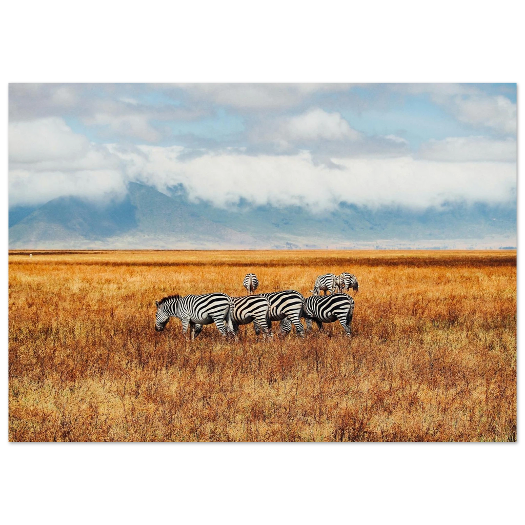 e16cea76-a69b-41b7-b78d-3eededdaca74