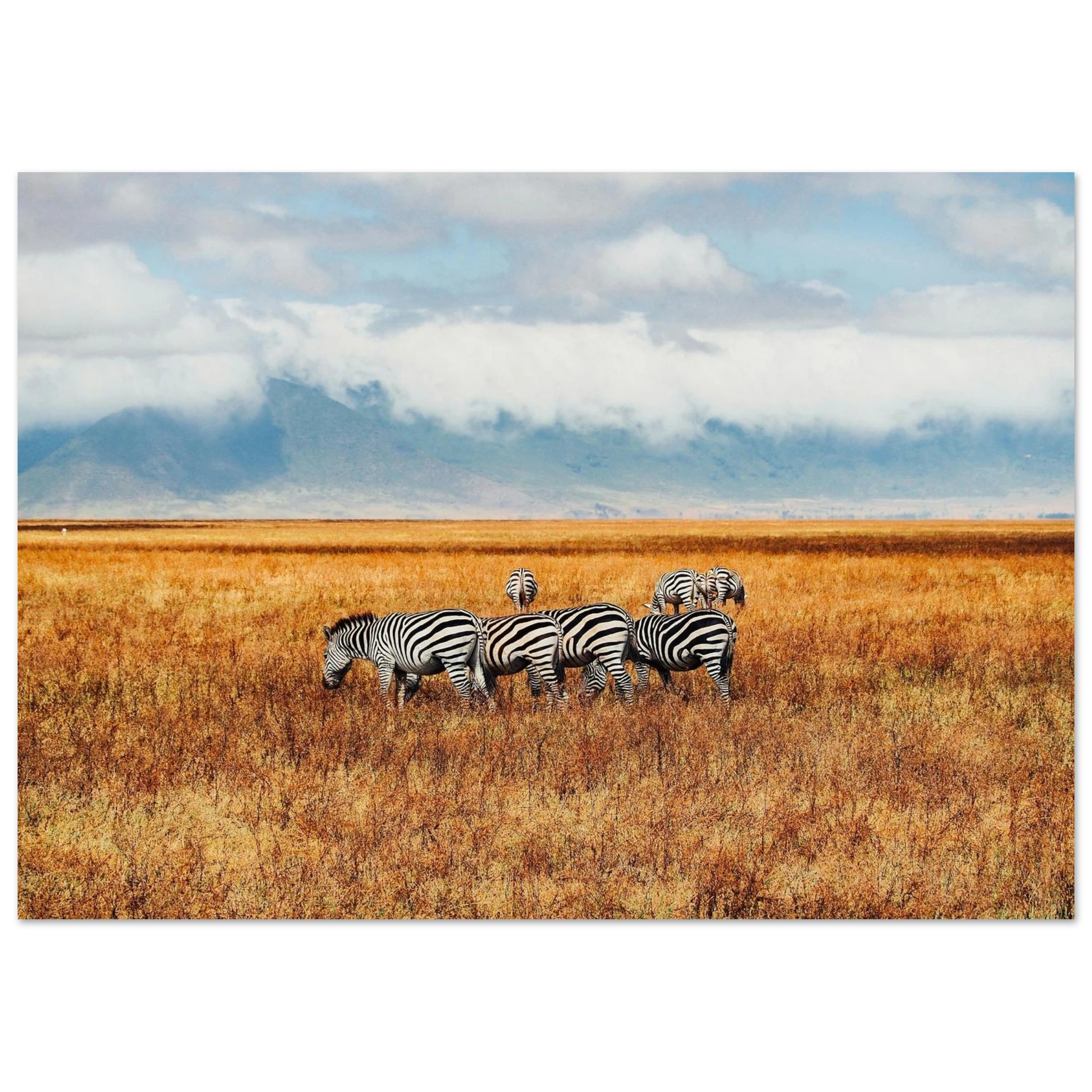 e16cea76-a69b-41b7-b78d-3eededdaca74