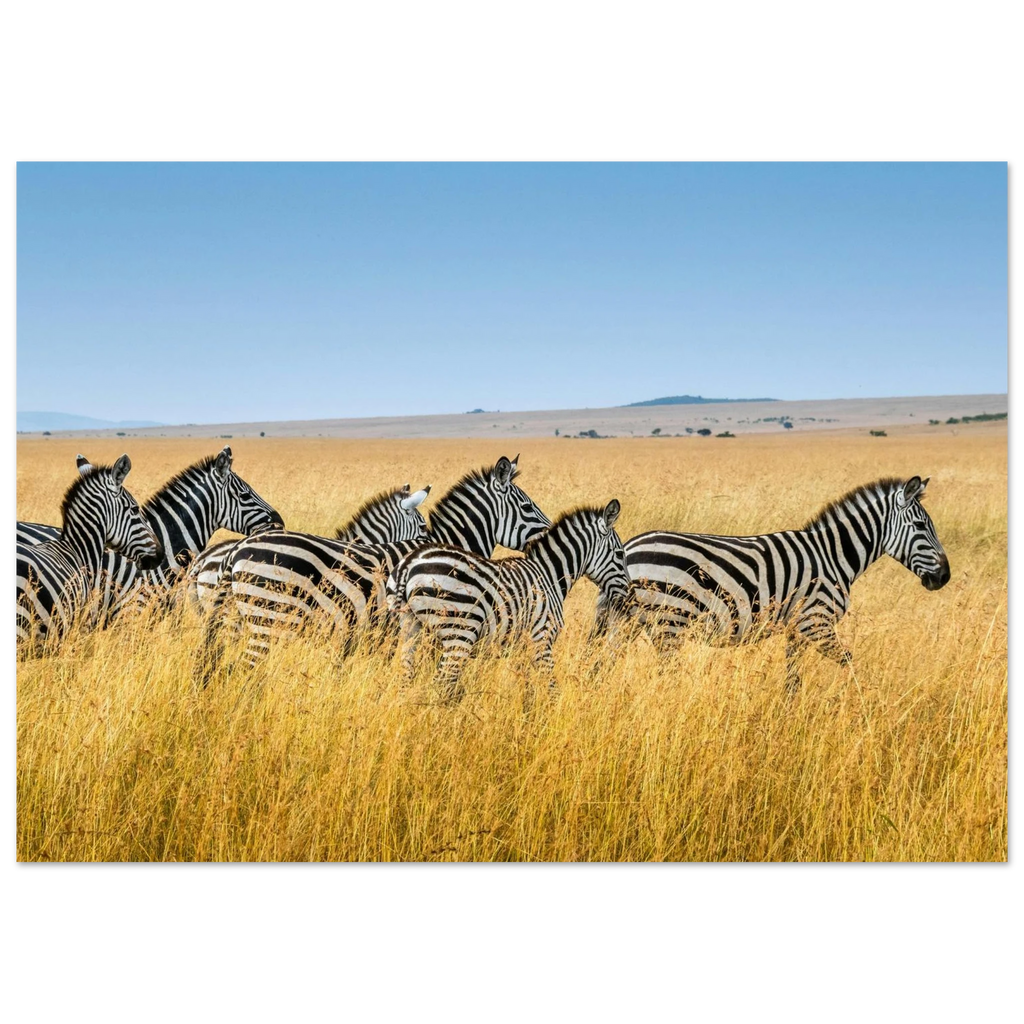 e30343fb-7ee5-4fa6-9663-507e0f0c0e83