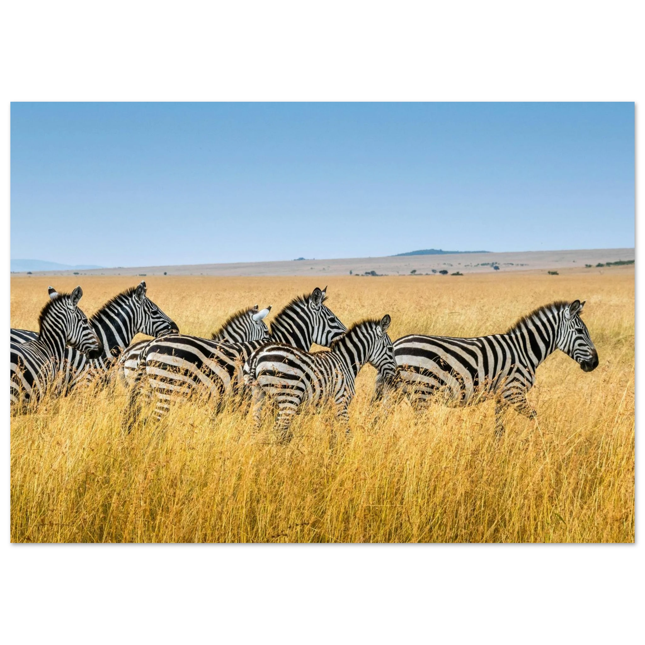 e30343fb-7ee5-4fa6-9663-507e0f0c0e83