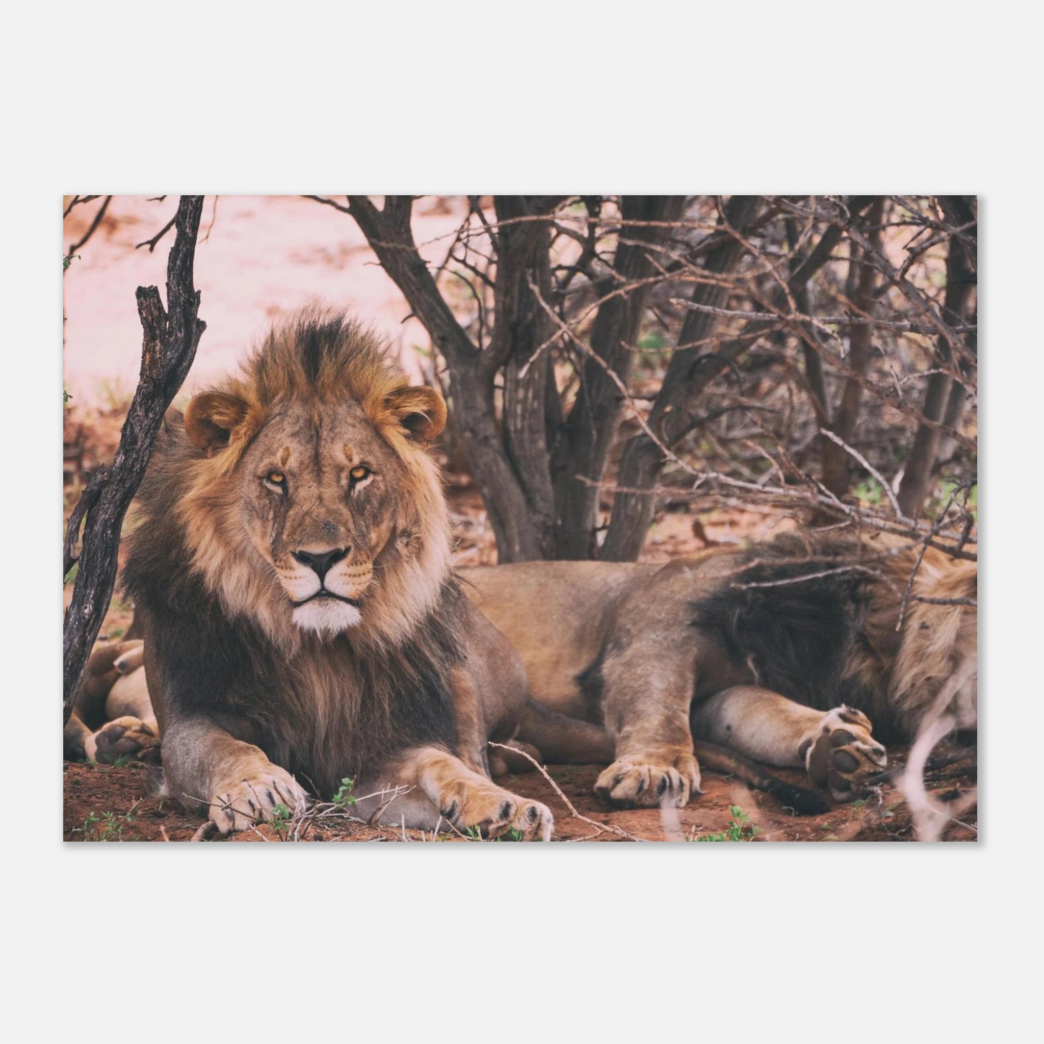 e35d8123-ab65-4b7f-bafa-906173b8e2b7