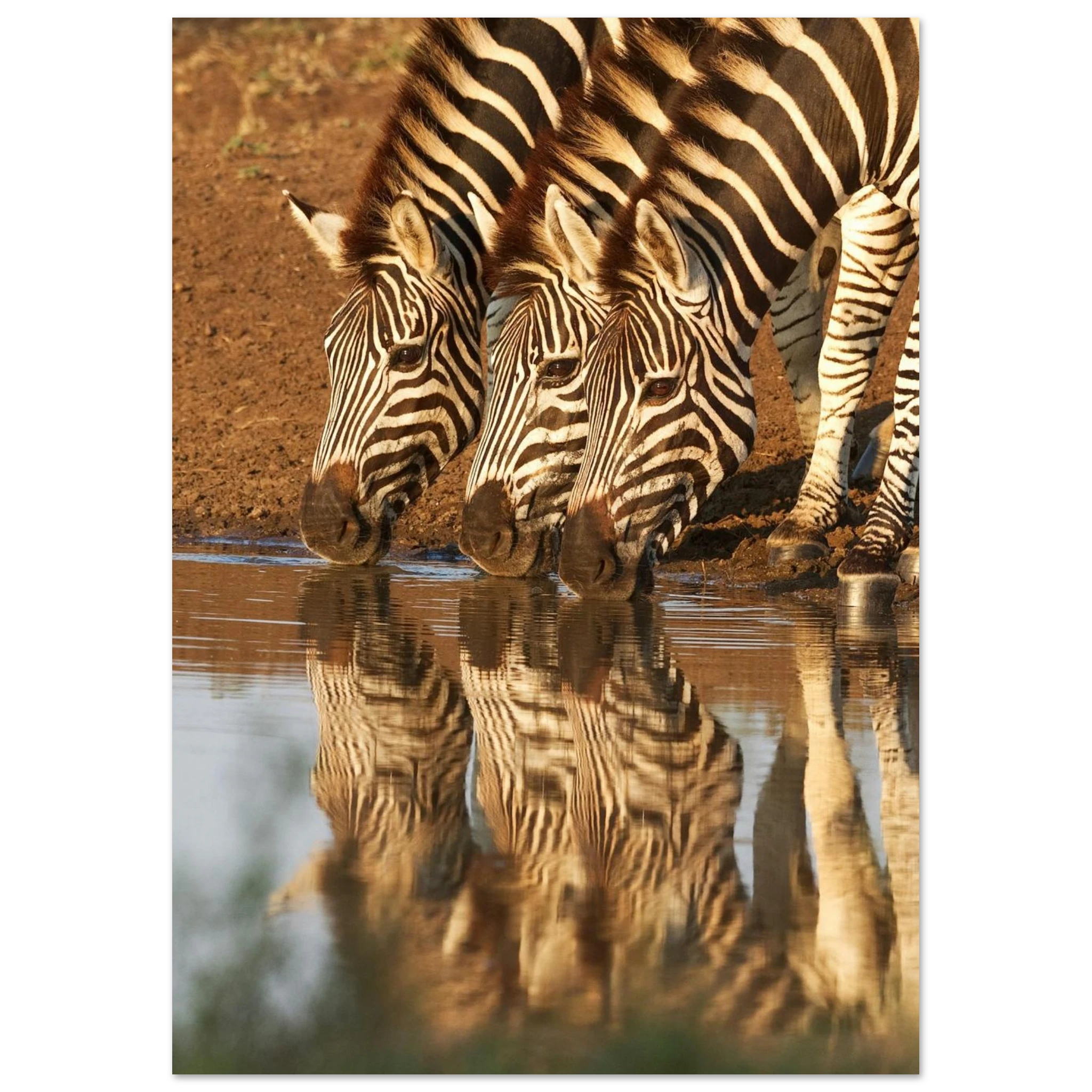 e416b4bb-fda8-47e5-91ad-e4fdb0396238