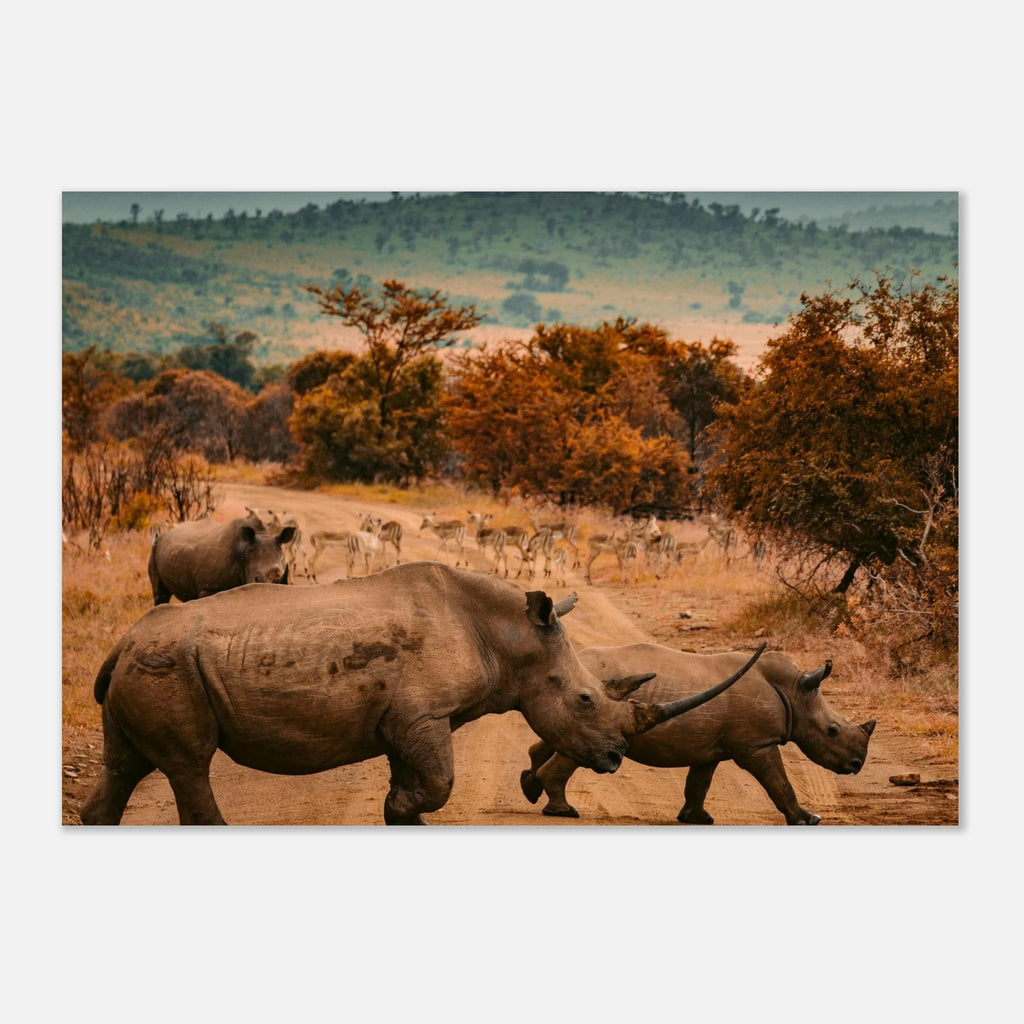 e440c4f0-9f16-4a74-b471-29728b816929