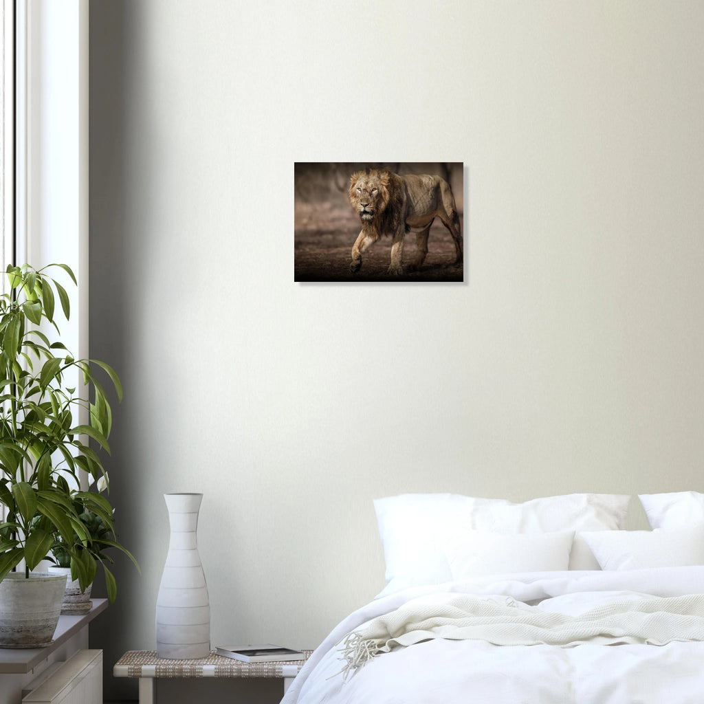 e8ece272-b9b9-420f-919a-b9408f9b4215