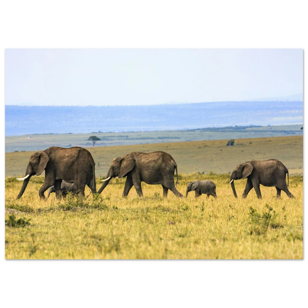 f1428756-ab74-4e60-97f9-c20428f73681